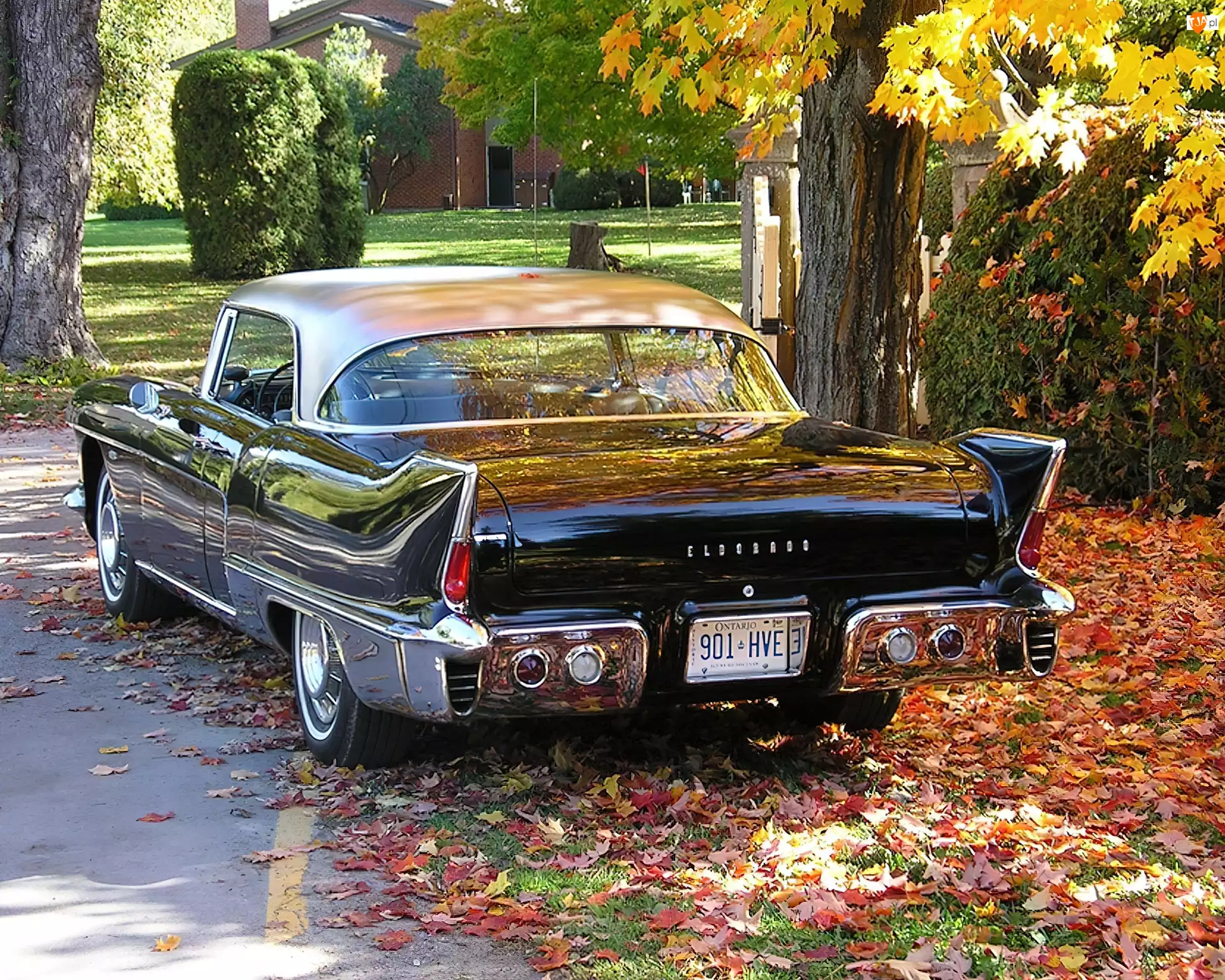 1956, Cadillac, Eldorado