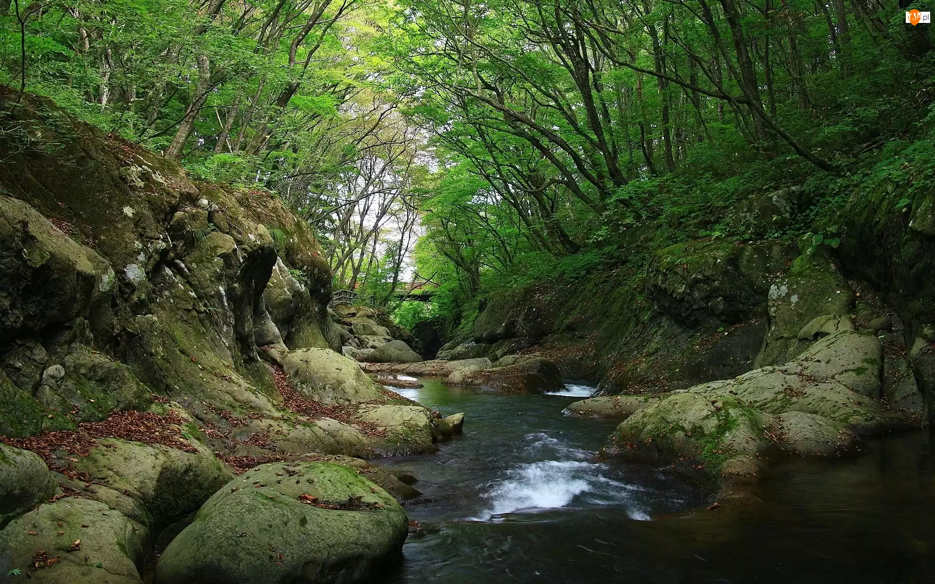 Las, Rzeka, Kamienie