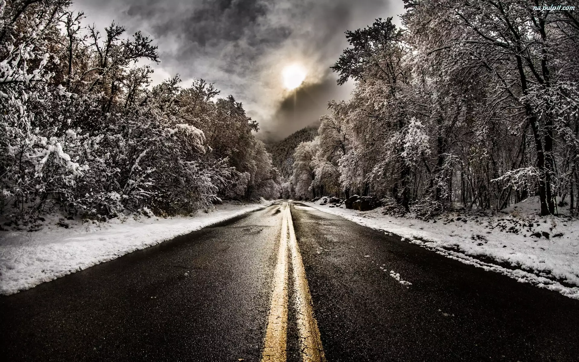 Droga, Słońce, Drzewa, Śnieg
