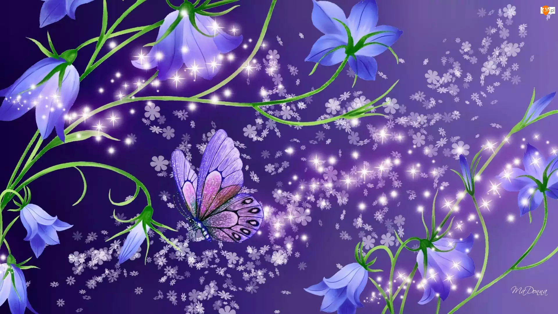 Niebieskie, Art, Kwiaty, Motyl