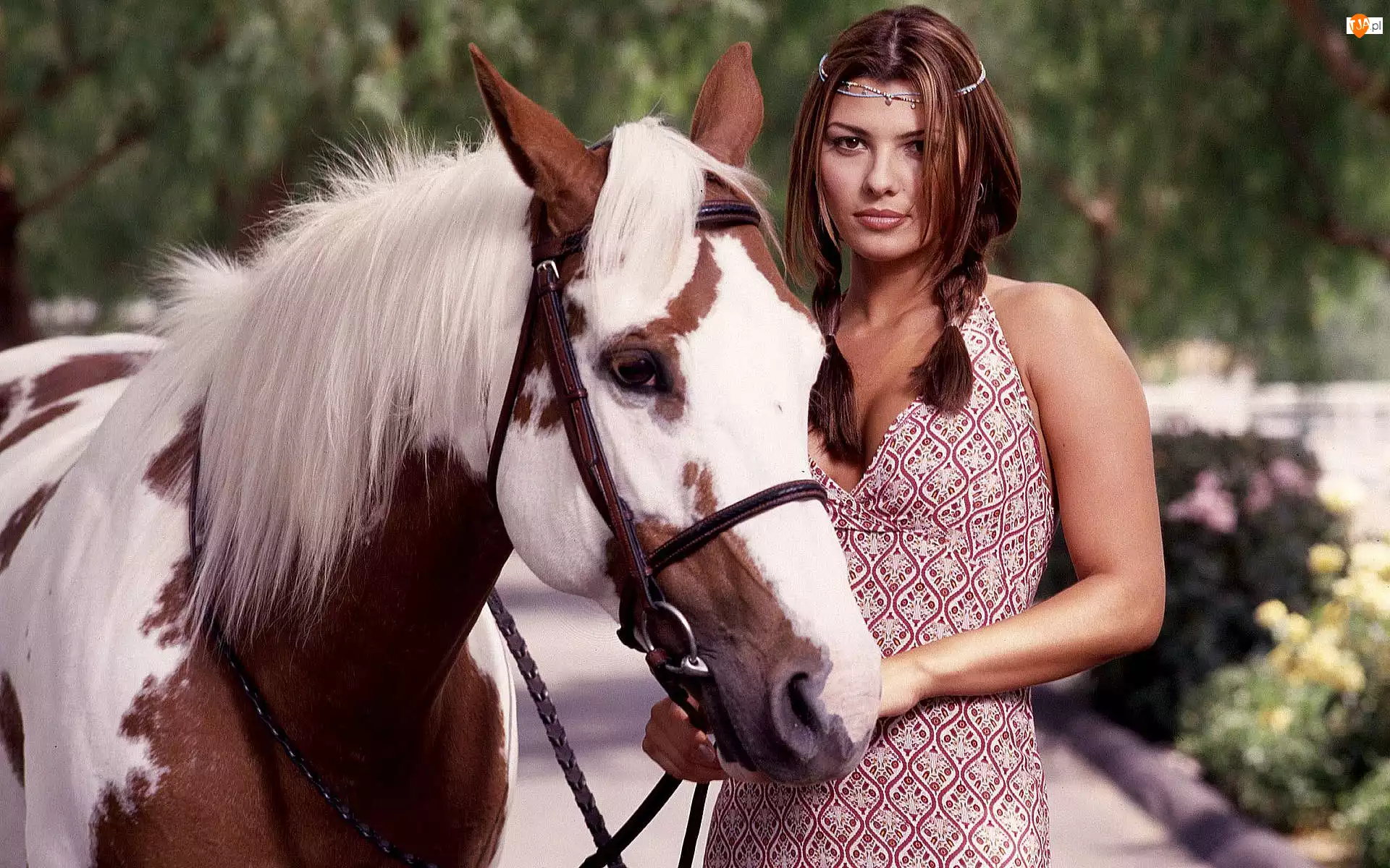 Koń, Piękna, Kobieta