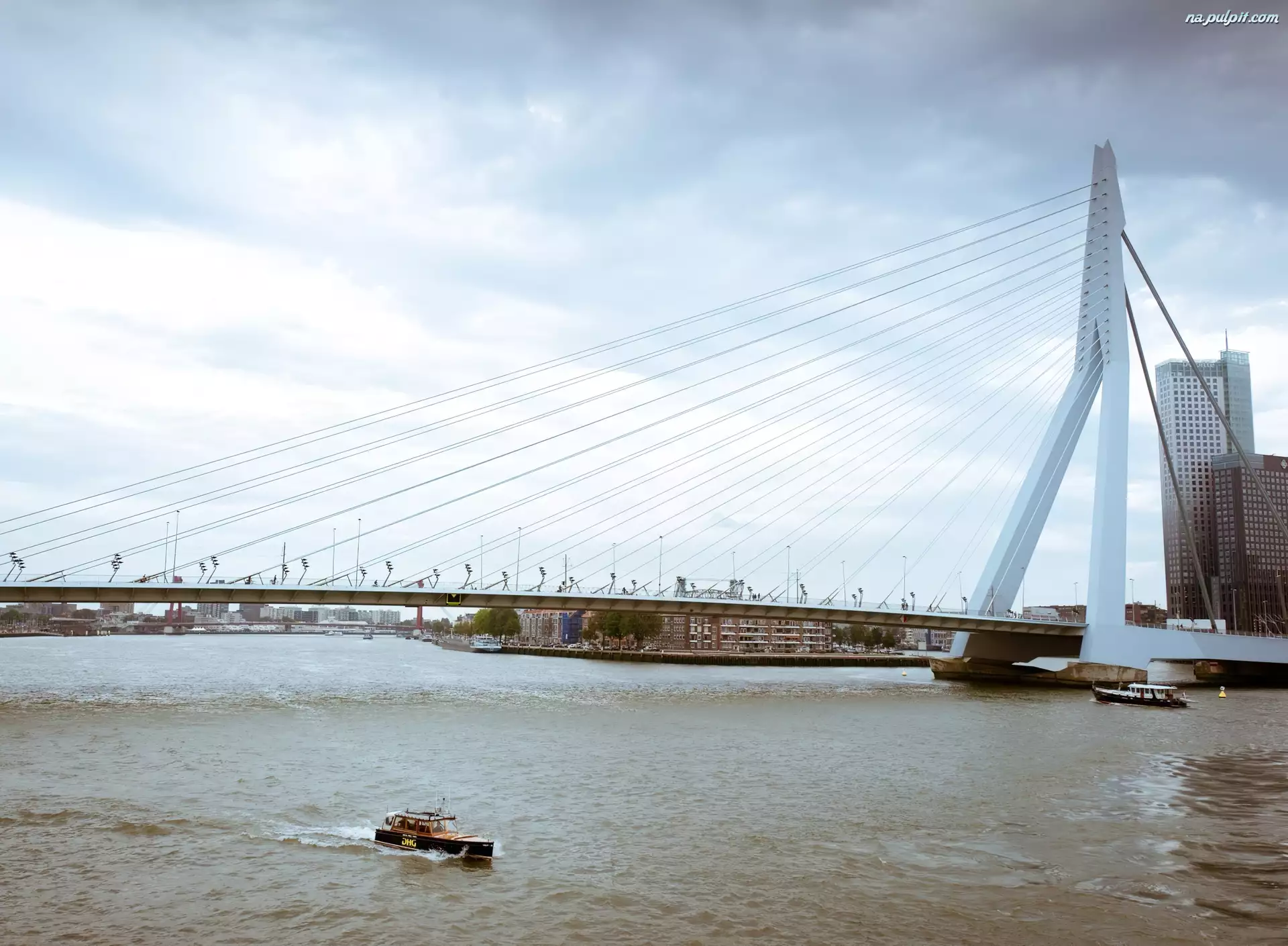 Rzeka, Erasmus Bridge, Rotterdam, Holandia