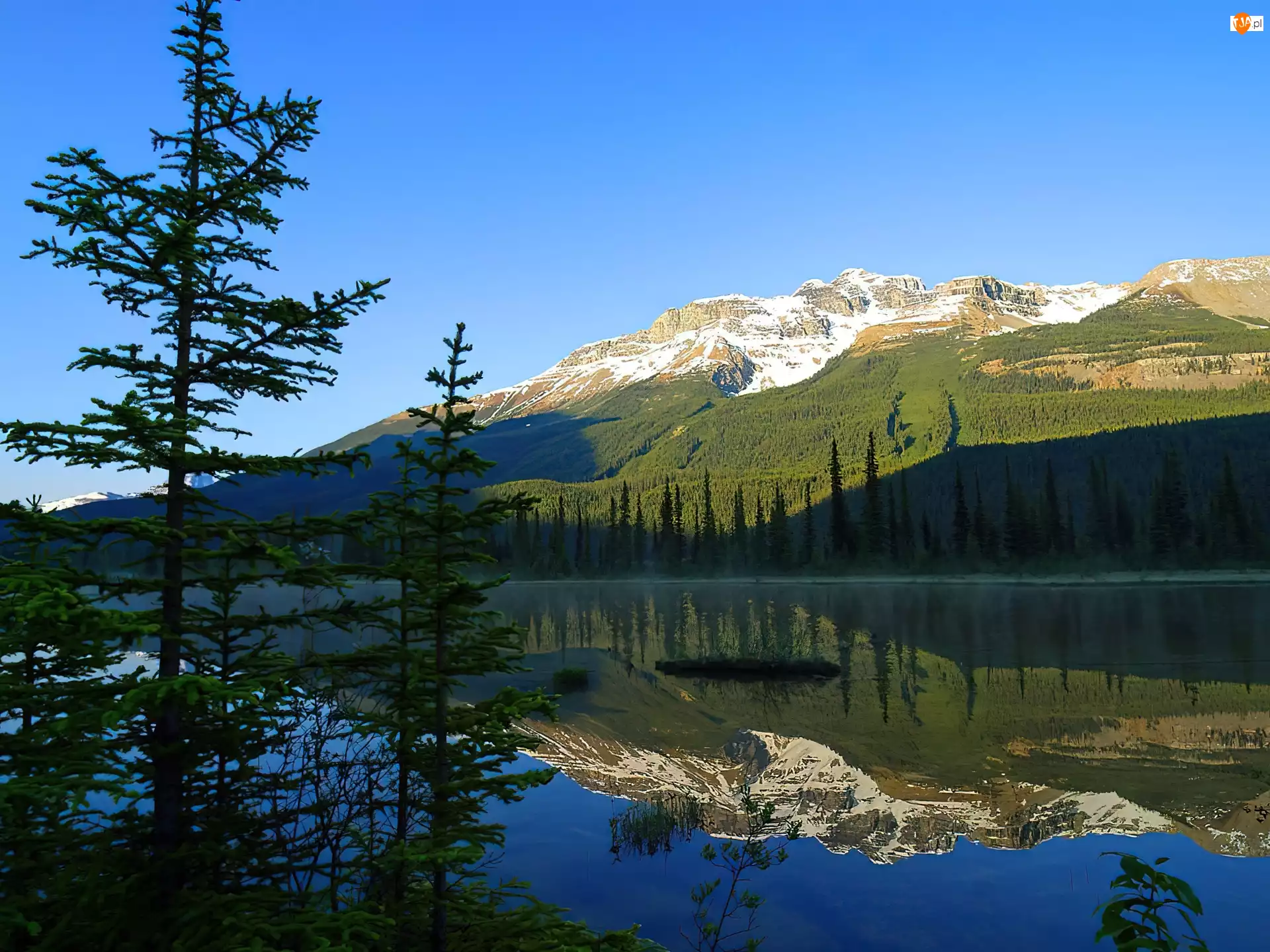 Drzewa, Kanada, Góry, Jezioro, Alberta