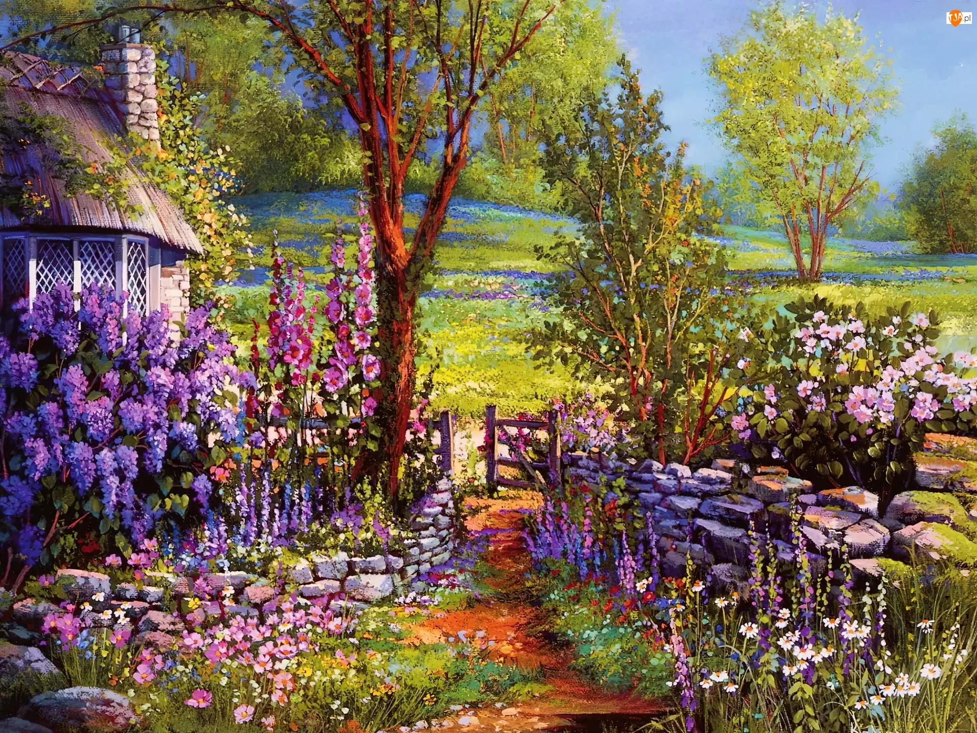Dom, Ścieżka, Ogród, Kwiaty