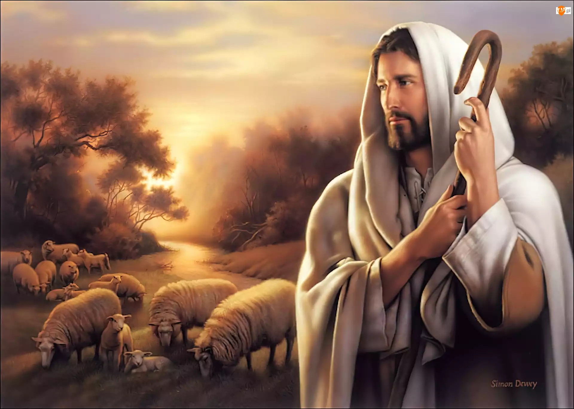 Owieczki, Jezus, Pasterz