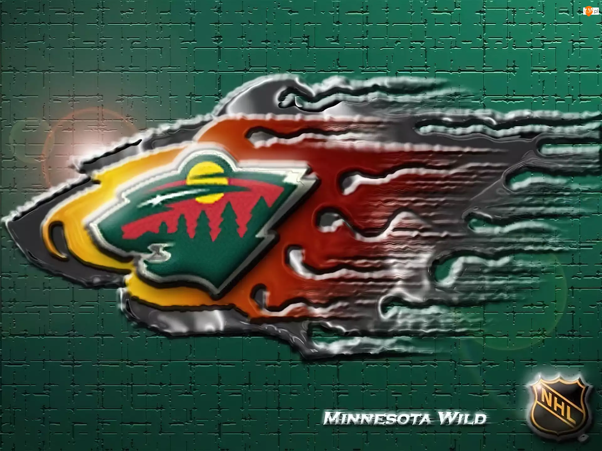 Minnesota Wild, Logo, Drużyny, NHL