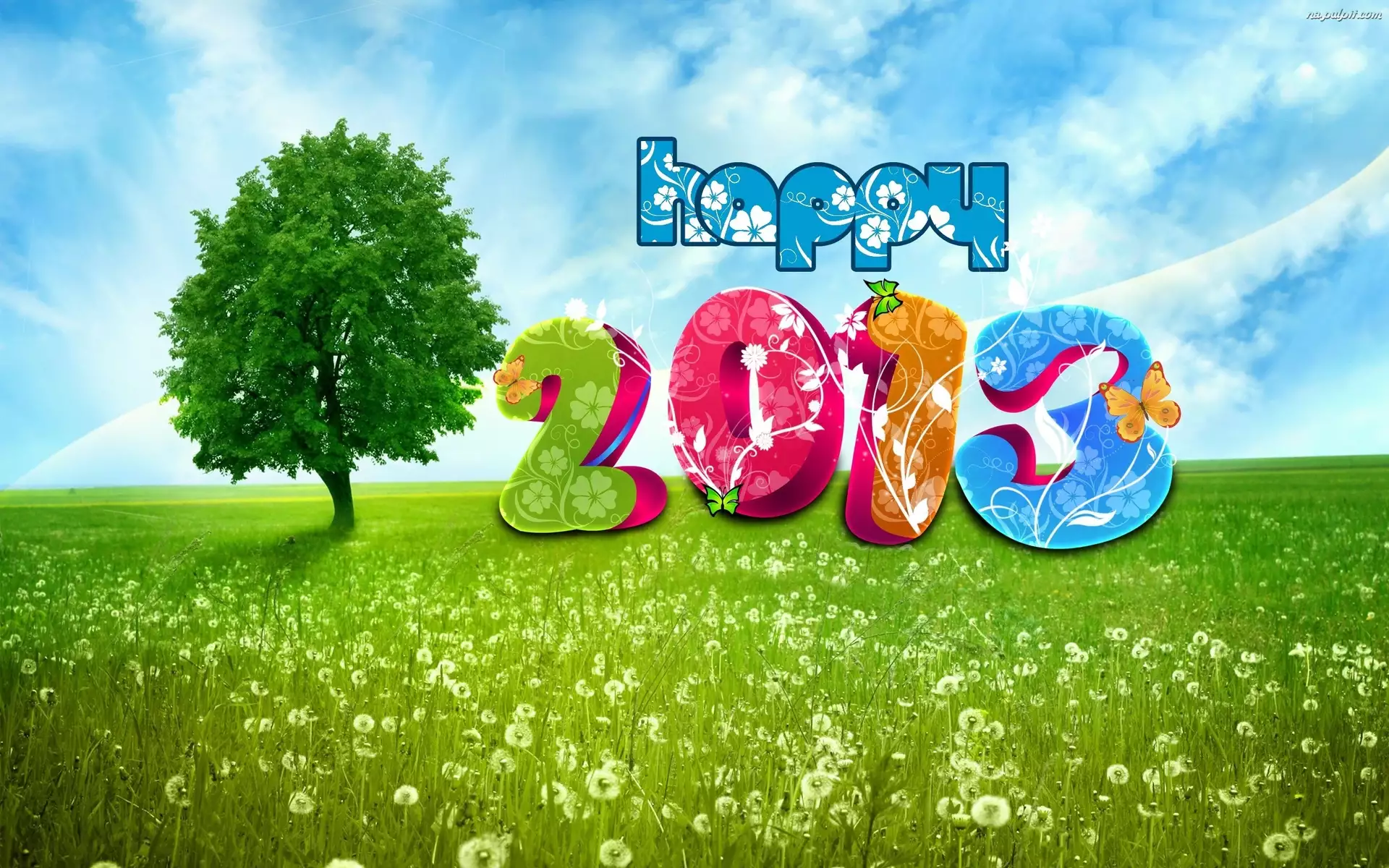 Rok 2013, Drzewo, Łąka