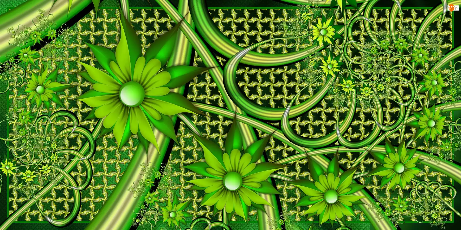 Zielone, 3D, Kwiaty, Grafika
