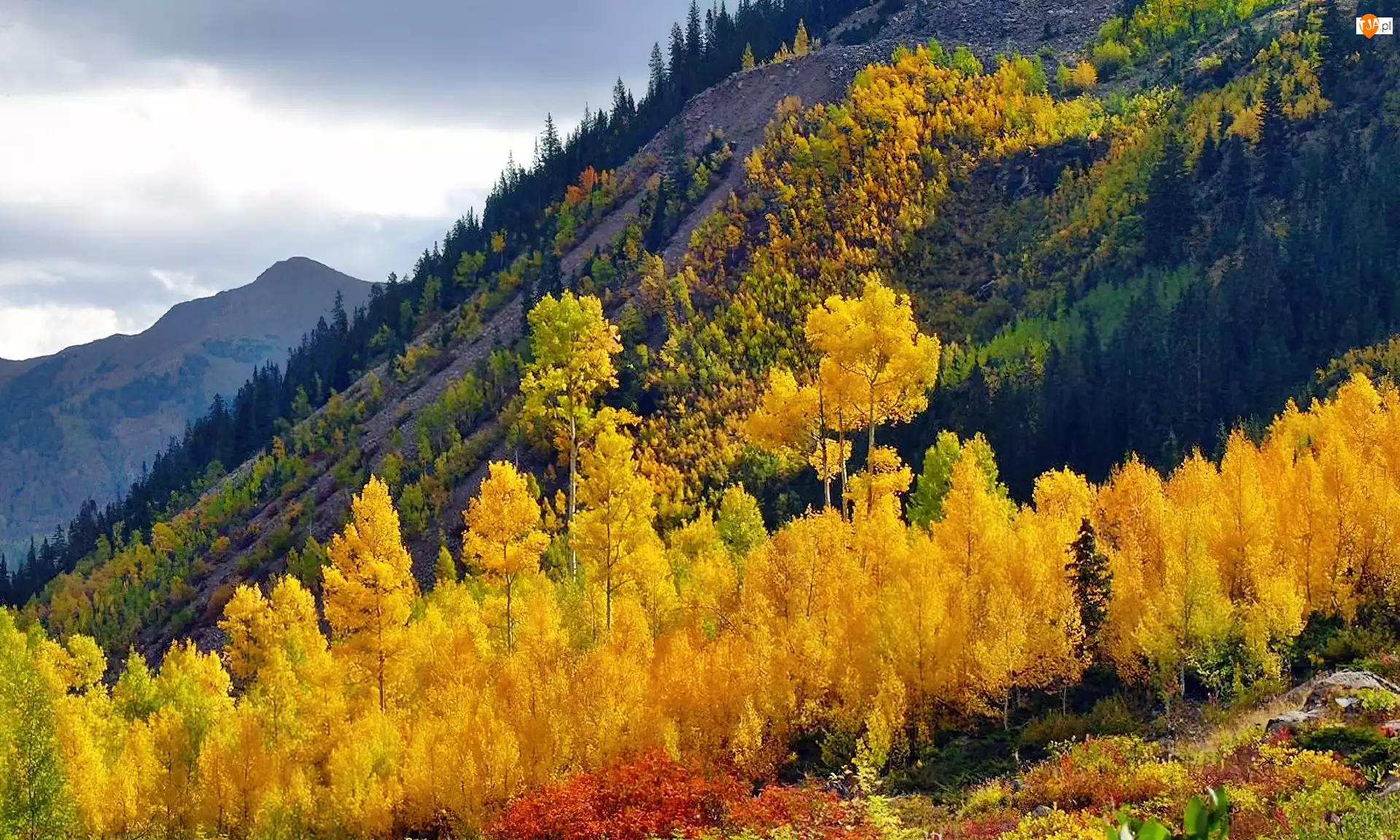 Las, Góry, Jesienny