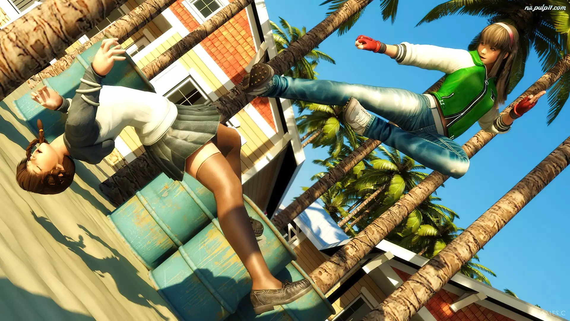 Lei Fang, Dead Or Alive 5, Hitomi