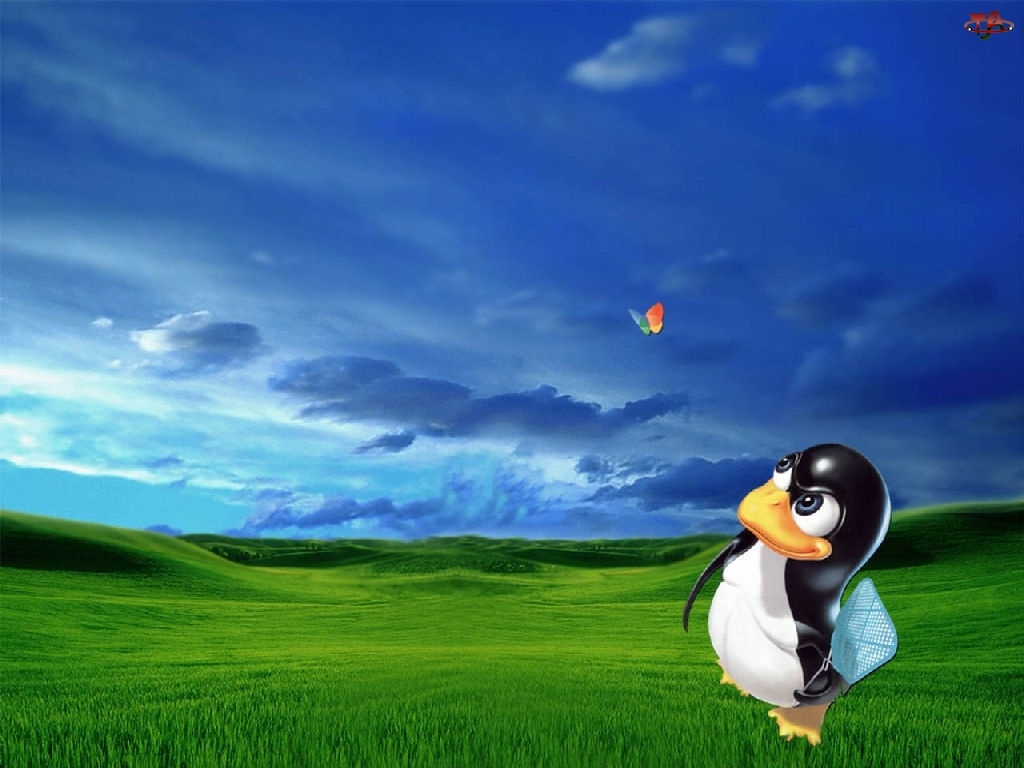 łapka, wzgórza, Linux, trawa, pingwin, motyl