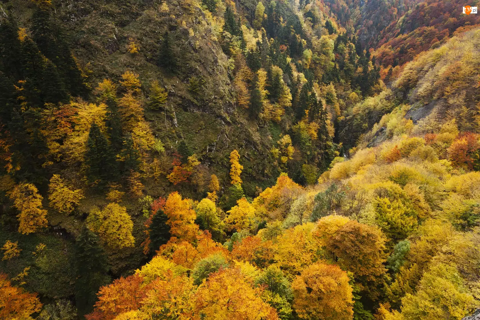 Góry, Jesień, Zalesione
