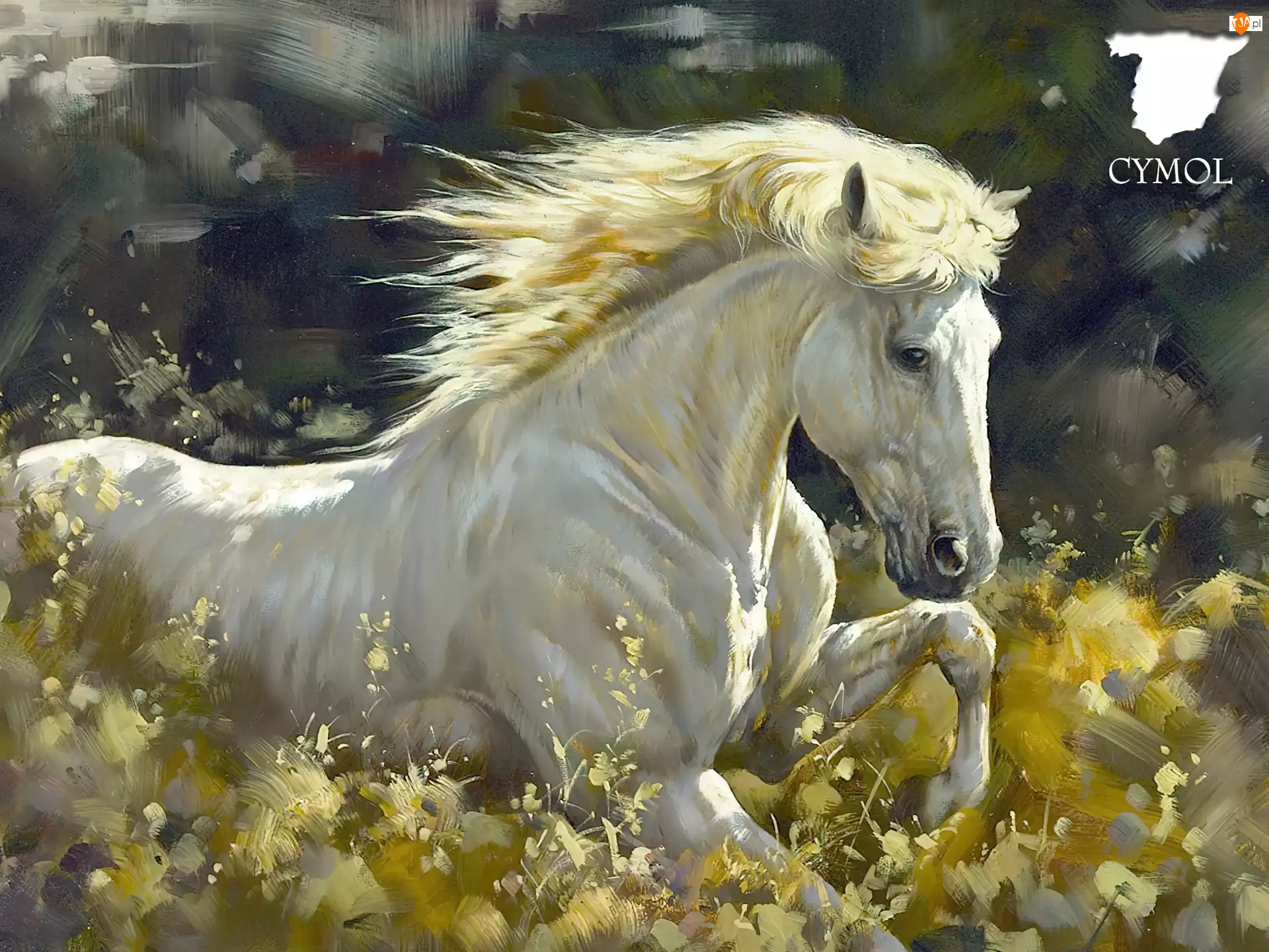Natura, Koń