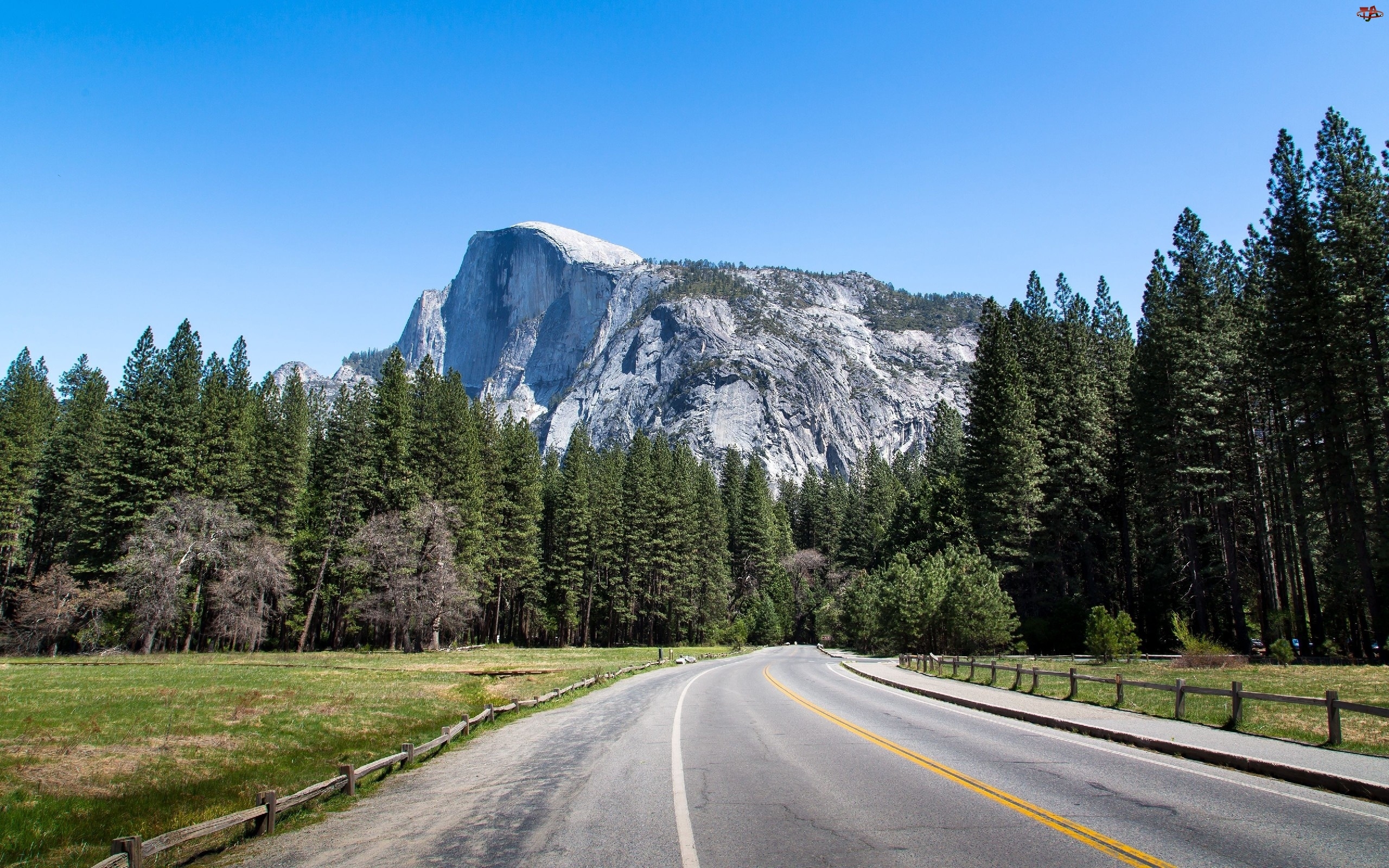 Góry, Park Narodowy Yosemite, Lasy, Droga