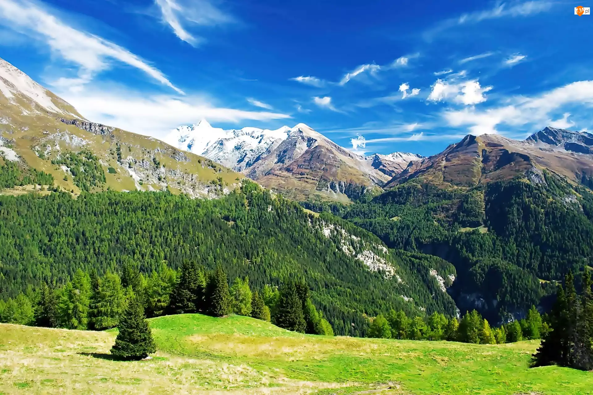 Łąka, Alpy, Austriackie, Lasy