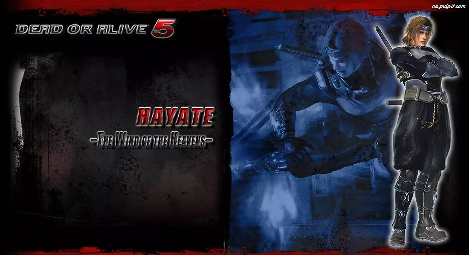 Hayate, Dead Or Alive 5