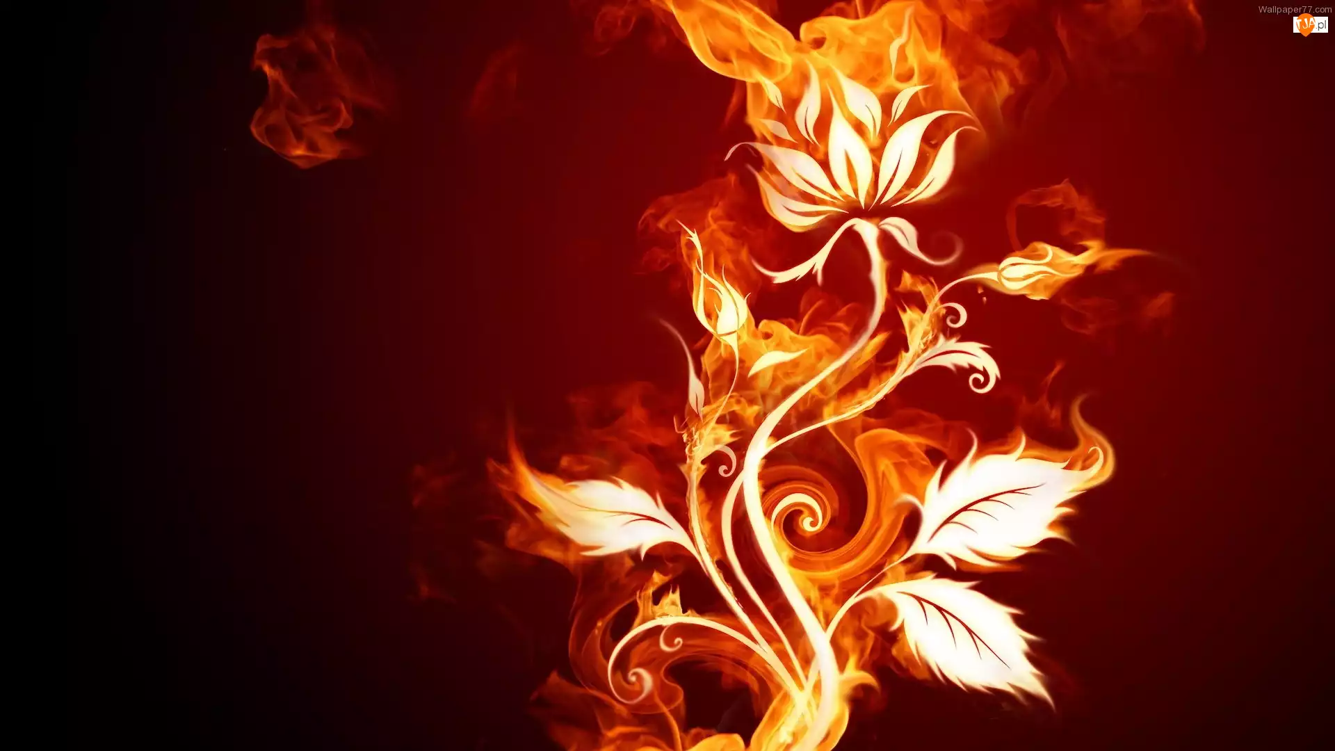 Kwiat, Ogień