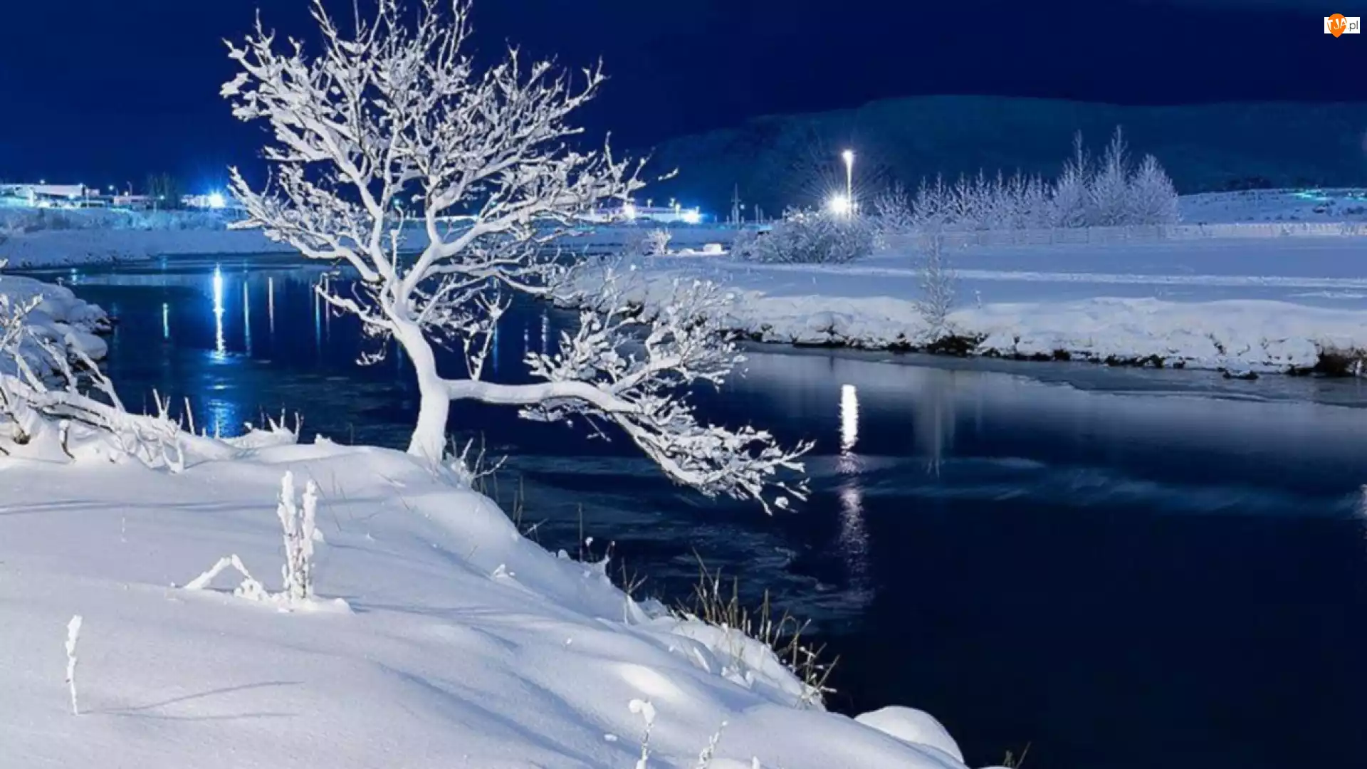 Noc, Jezioro, Drzewo, Zimowa