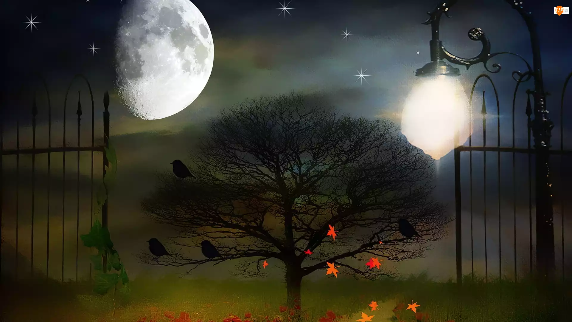 Księżyc, Obraz, Drzewo, Brama, Liście