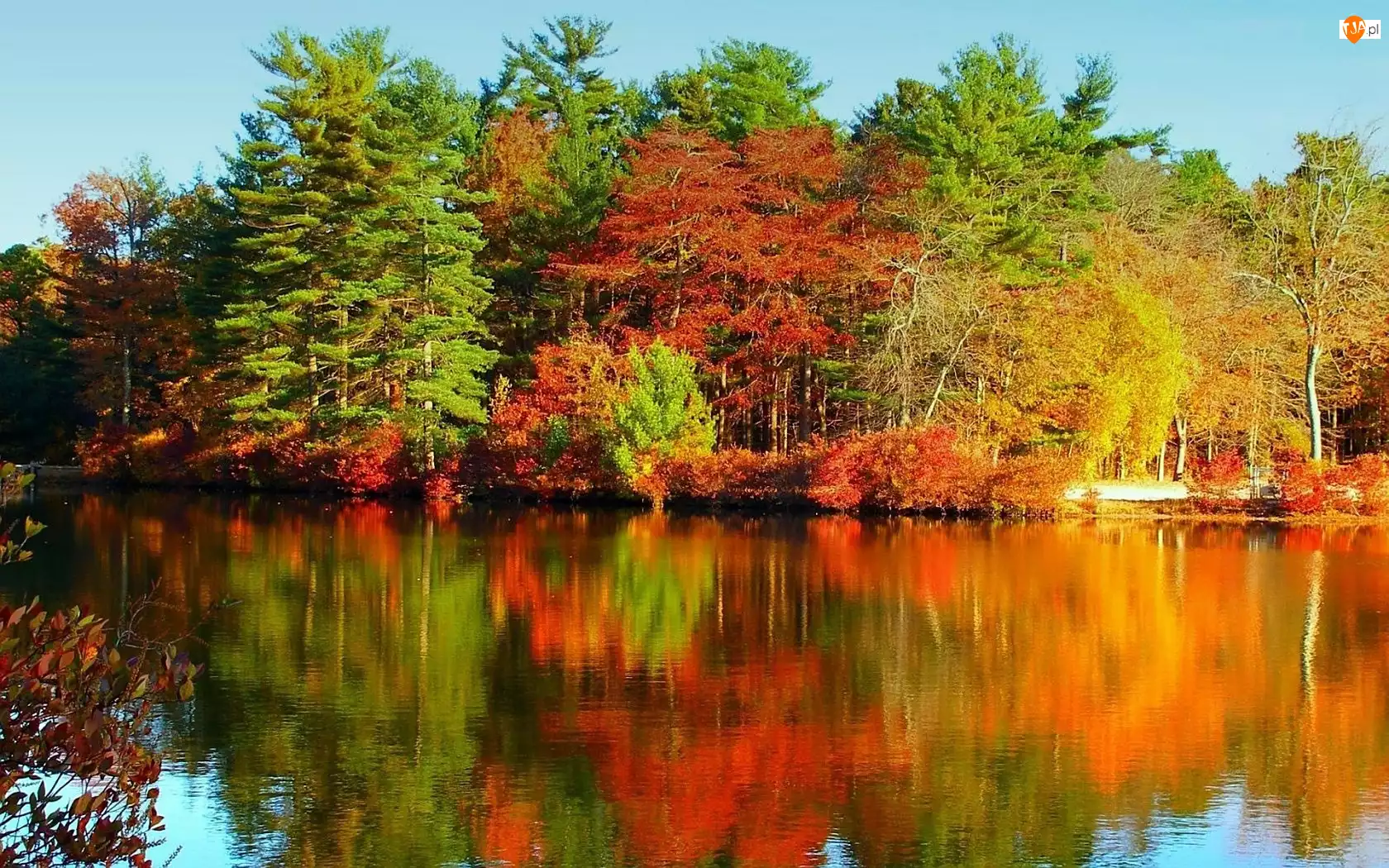 Jesieni, Rzeka, Kolorowe, Odbicie, Barwy, Drzewa