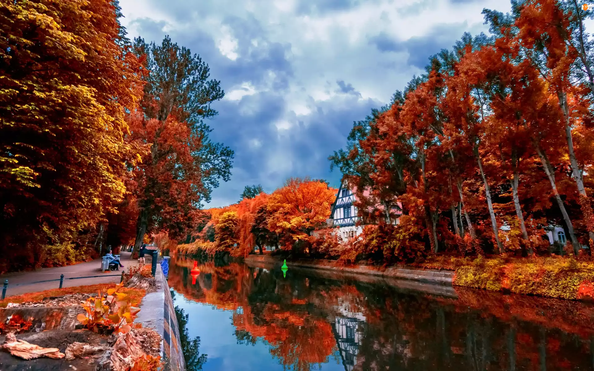 Kolorowe, Jesień, Drzewa, Rzeka