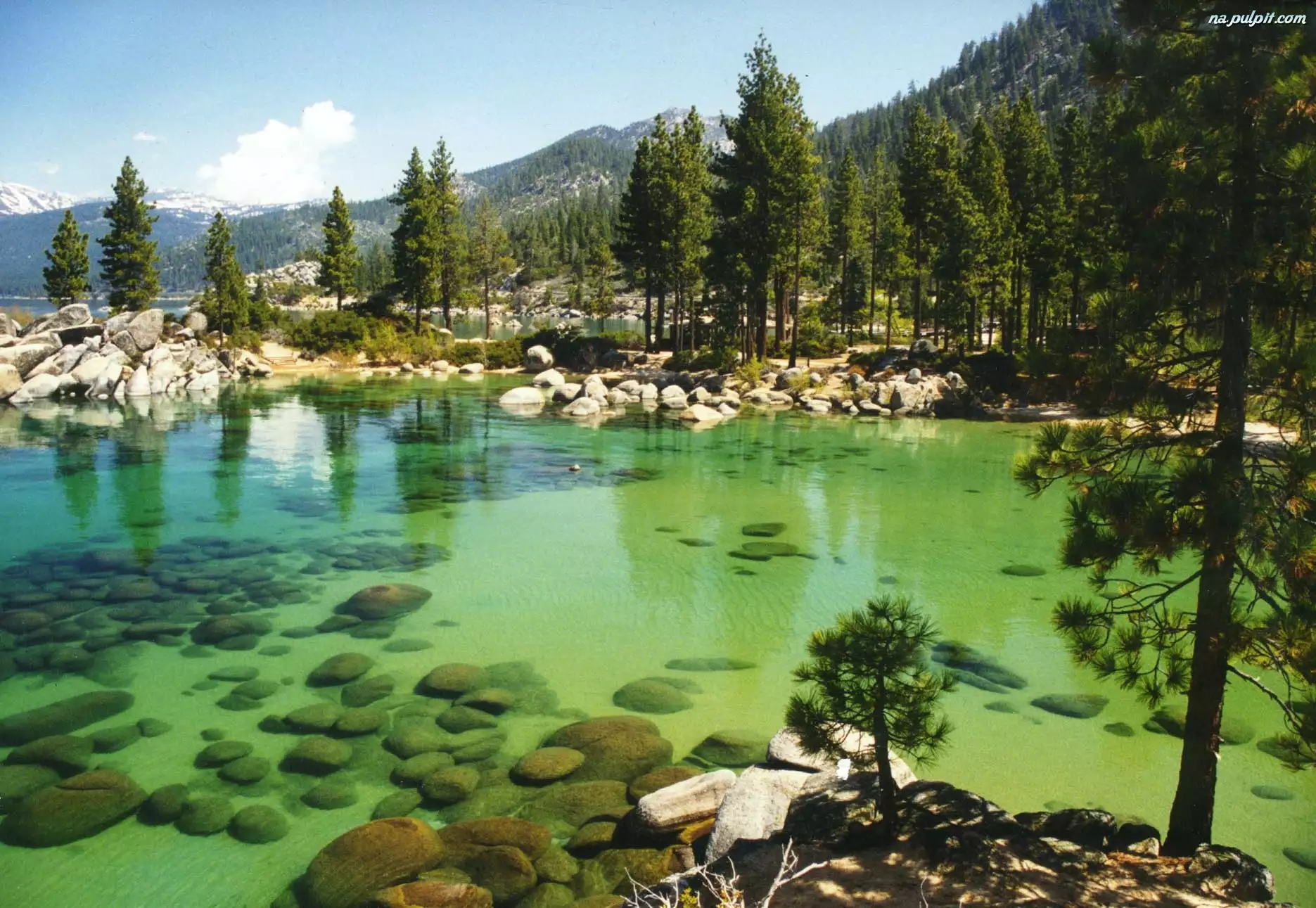 Kamienie, Jezioro, Las, Kalifornia, Góry, Tahoe