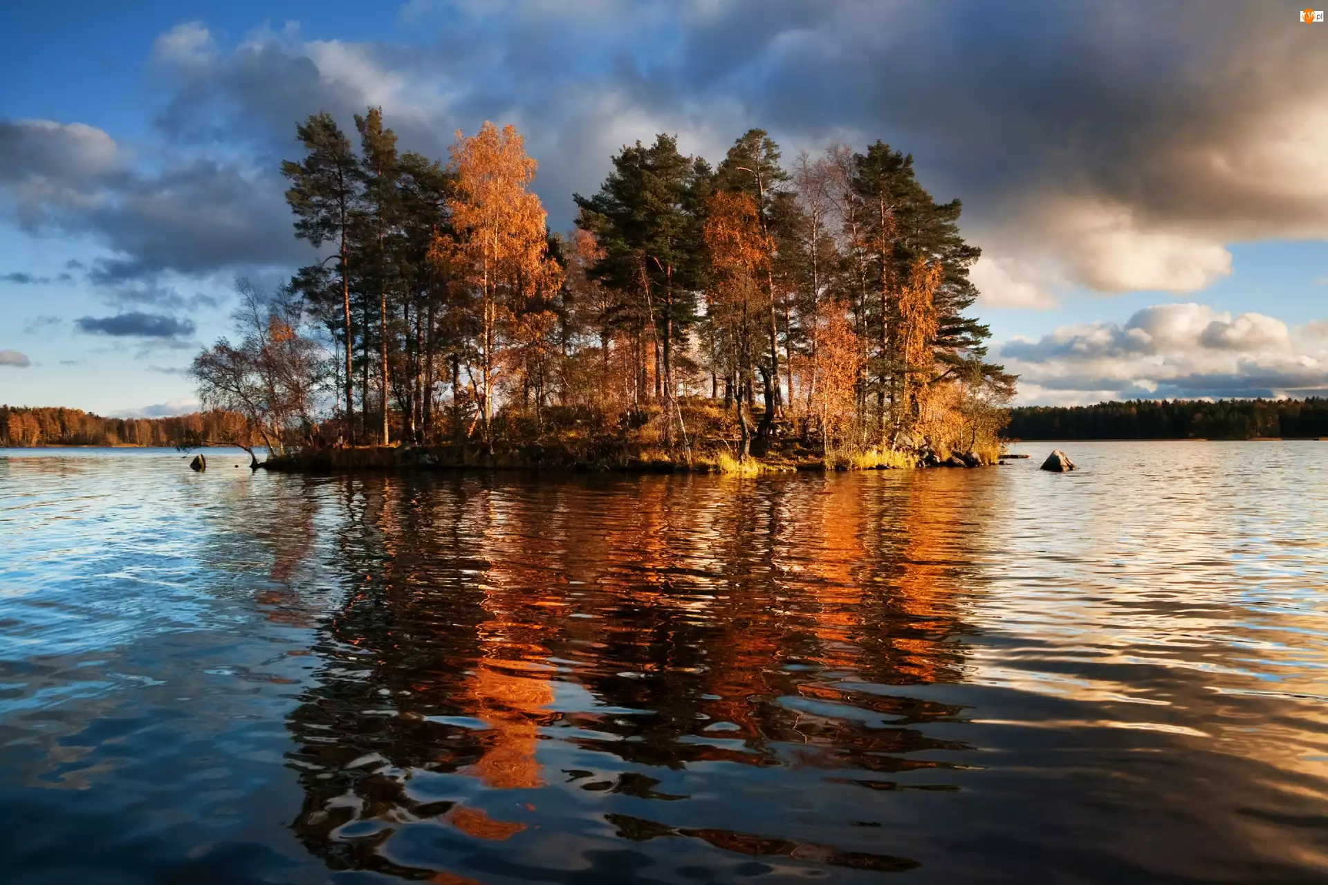 Finlandia, Jezioro, Drzewa, Wysepka, Vuoksa