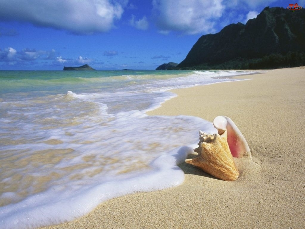 Woda, Muszelka, Hawaje, Oahu, Plaża