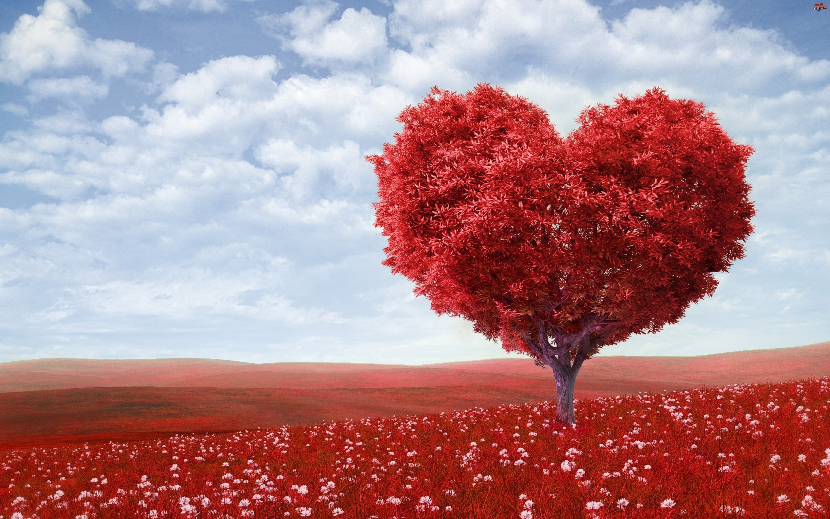 Czerwone, Walentynki, Drzewo, Serce