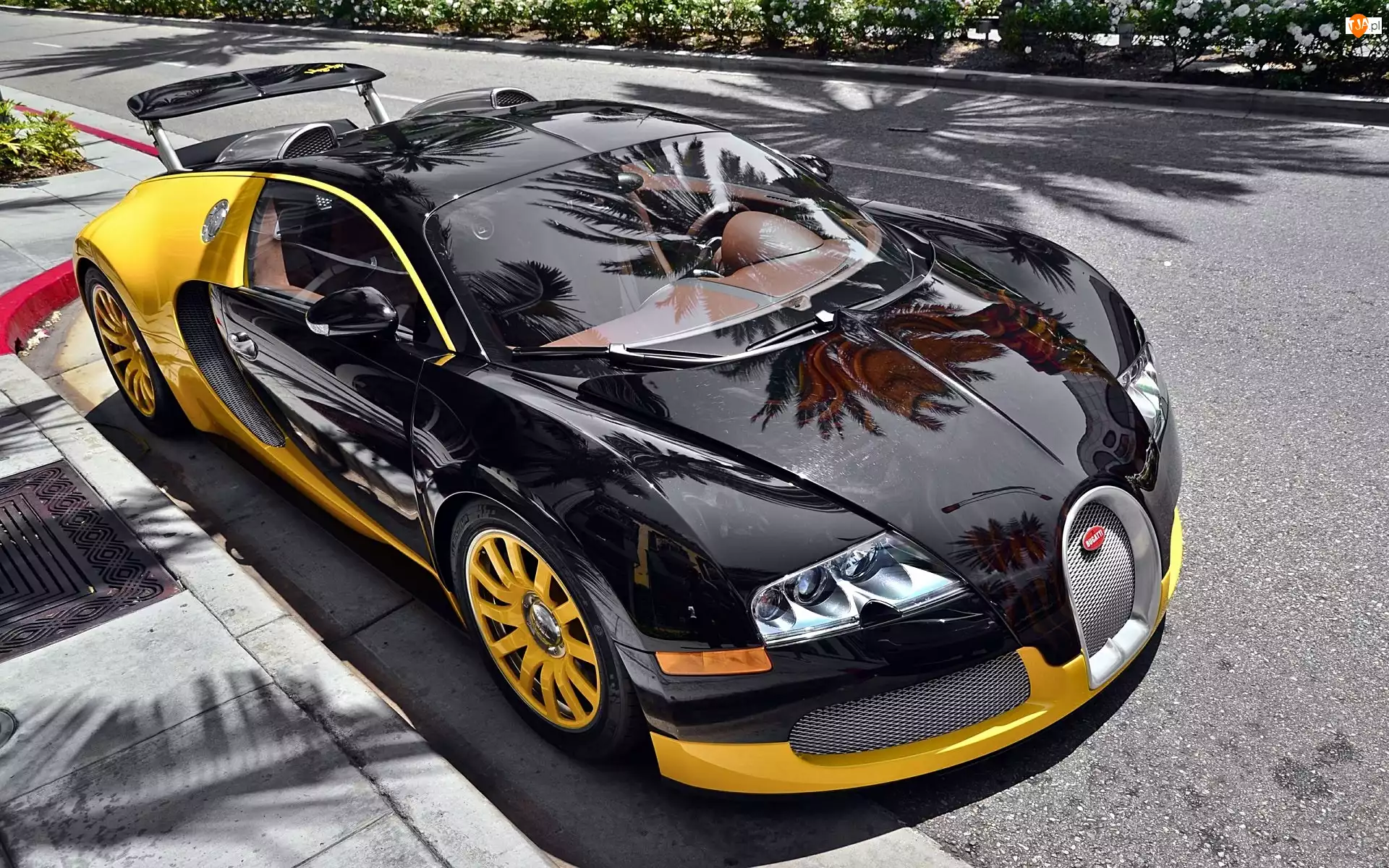 4, Czarny, Bugatti Veyron 16