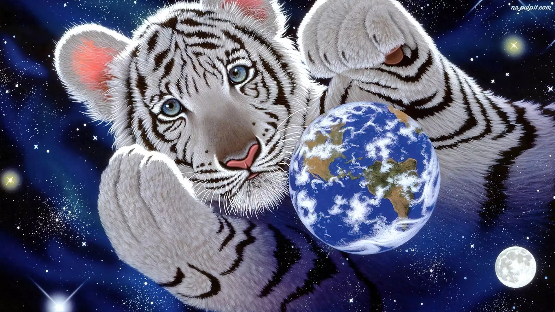 Tygrys, William Schimmel, Ziemia
