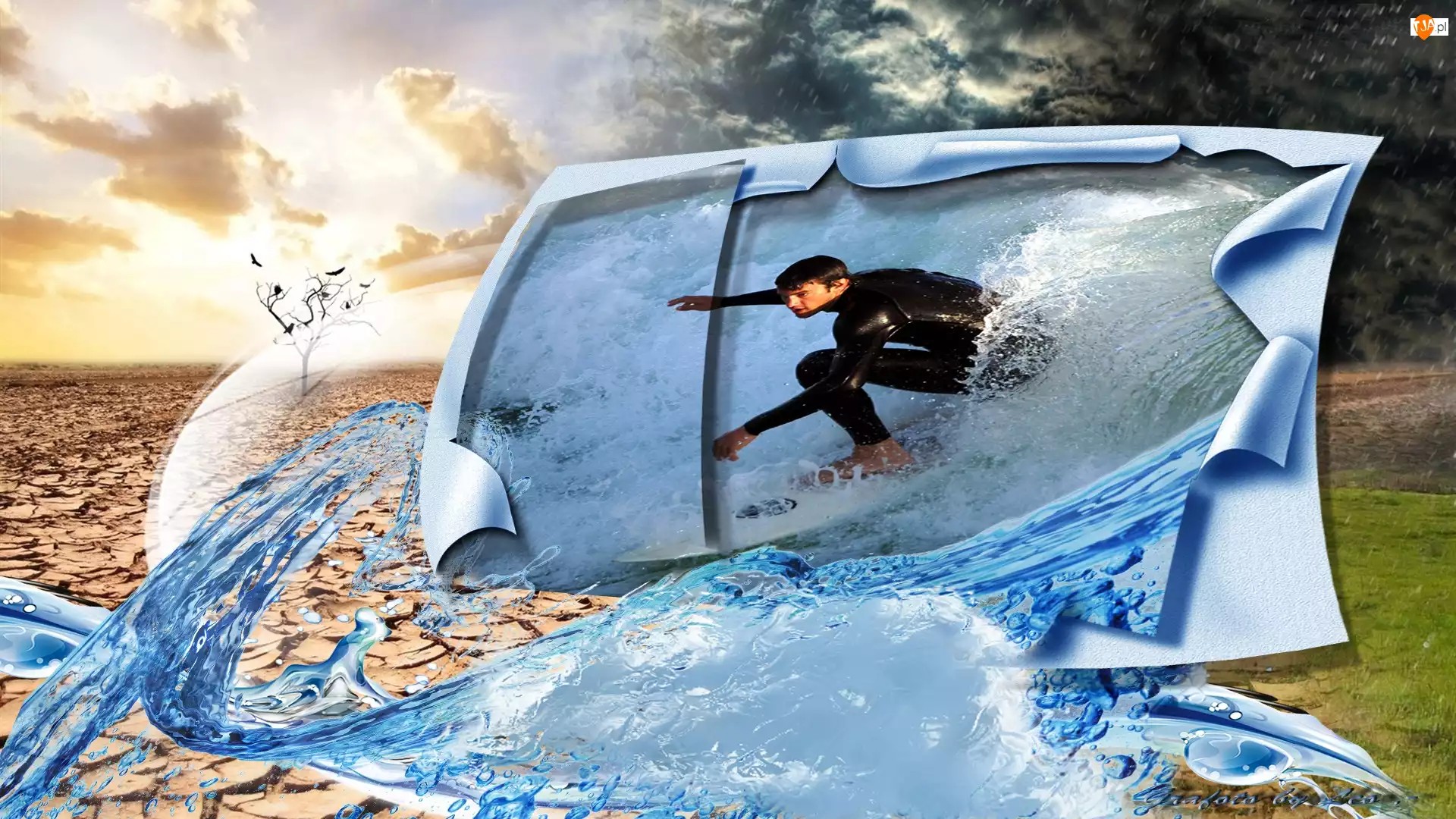 Surfing, Woda