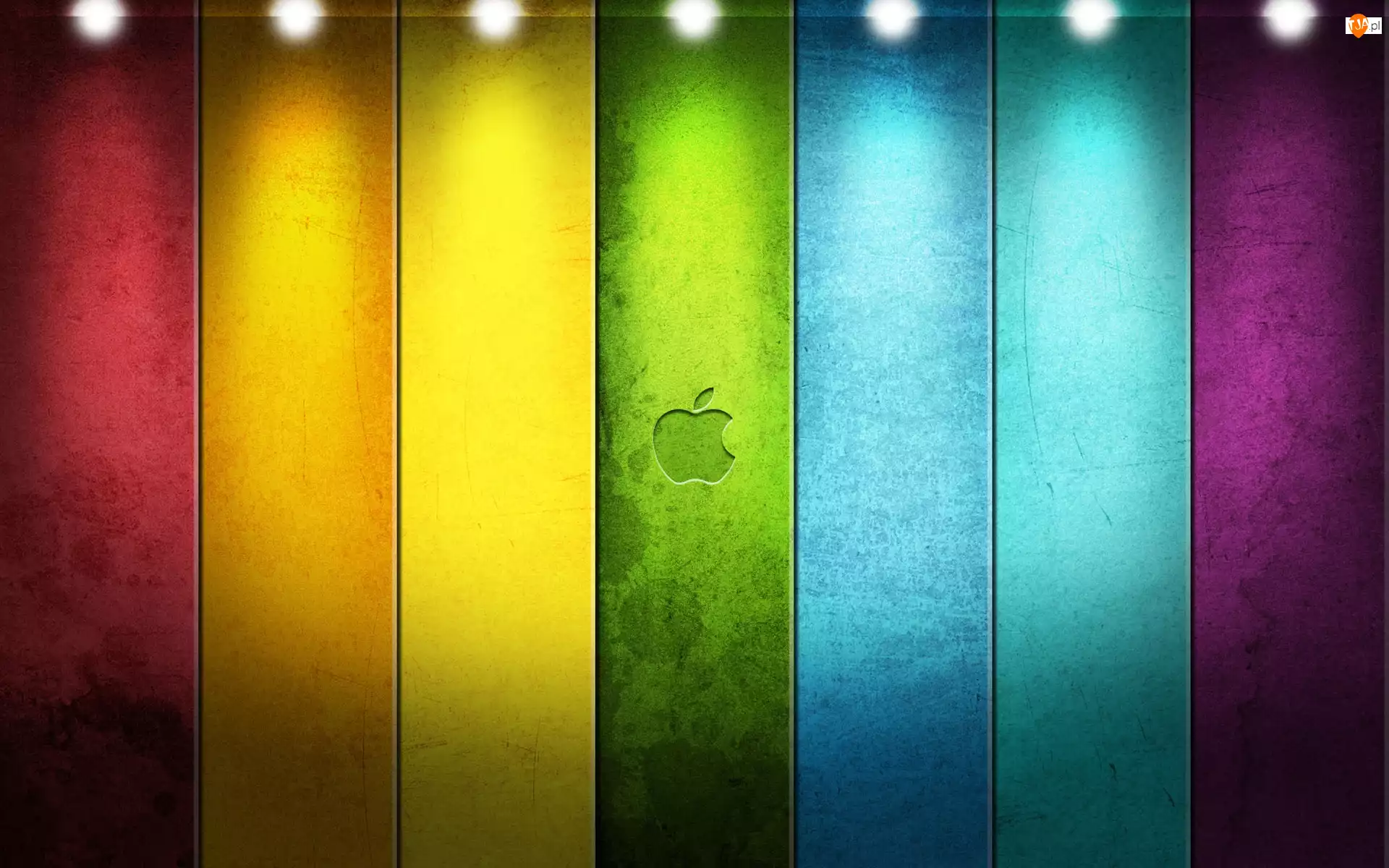 Apple, Pasy, Logo, Kolorowe