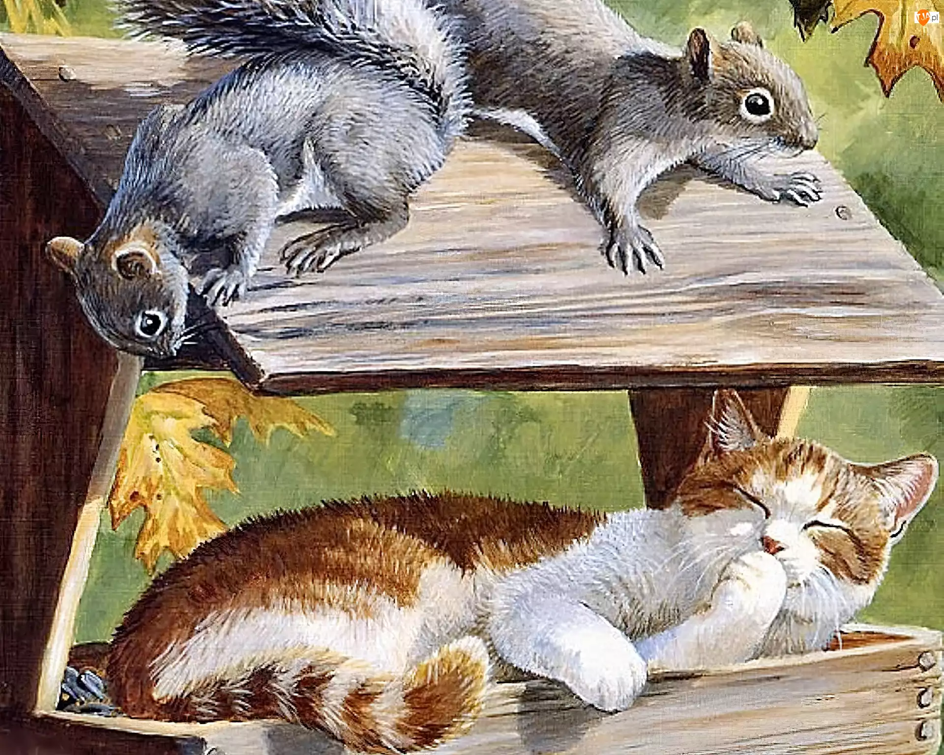 Malarstwo, Karmnik, Kot, Wiewiórki