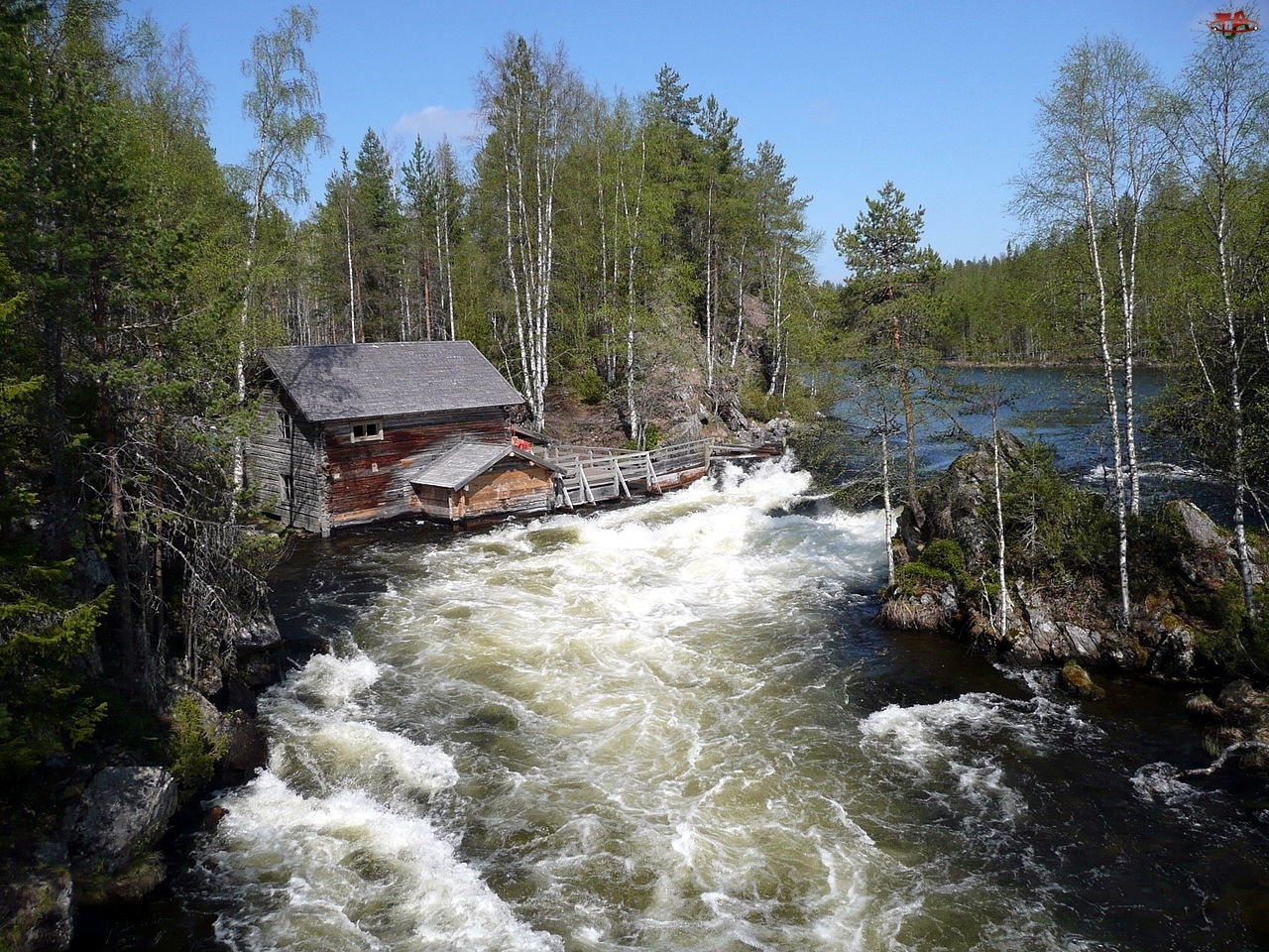 Park Narodowy Oulanka, Finlandia, Zalesione, Domek, Rzeka, Brzegi