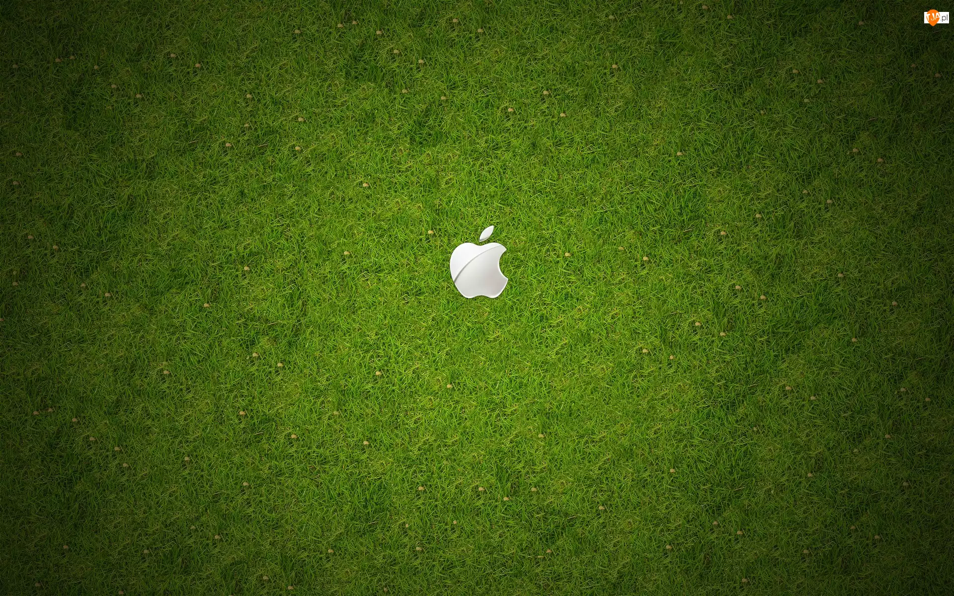 Łąka, Apple, Logo