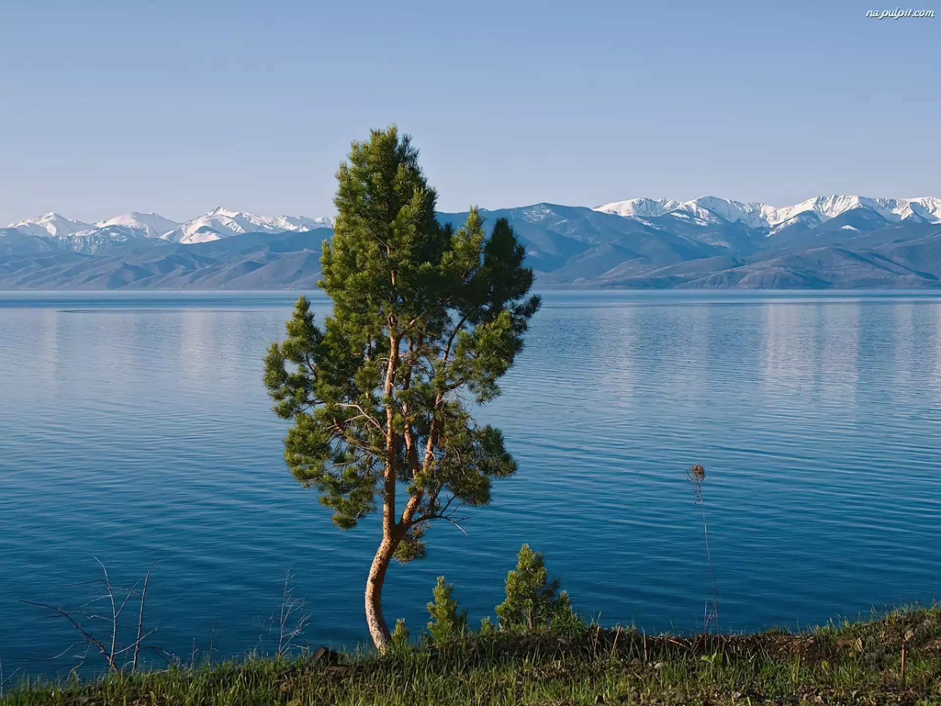 Drzewo, Jezioro, Góry