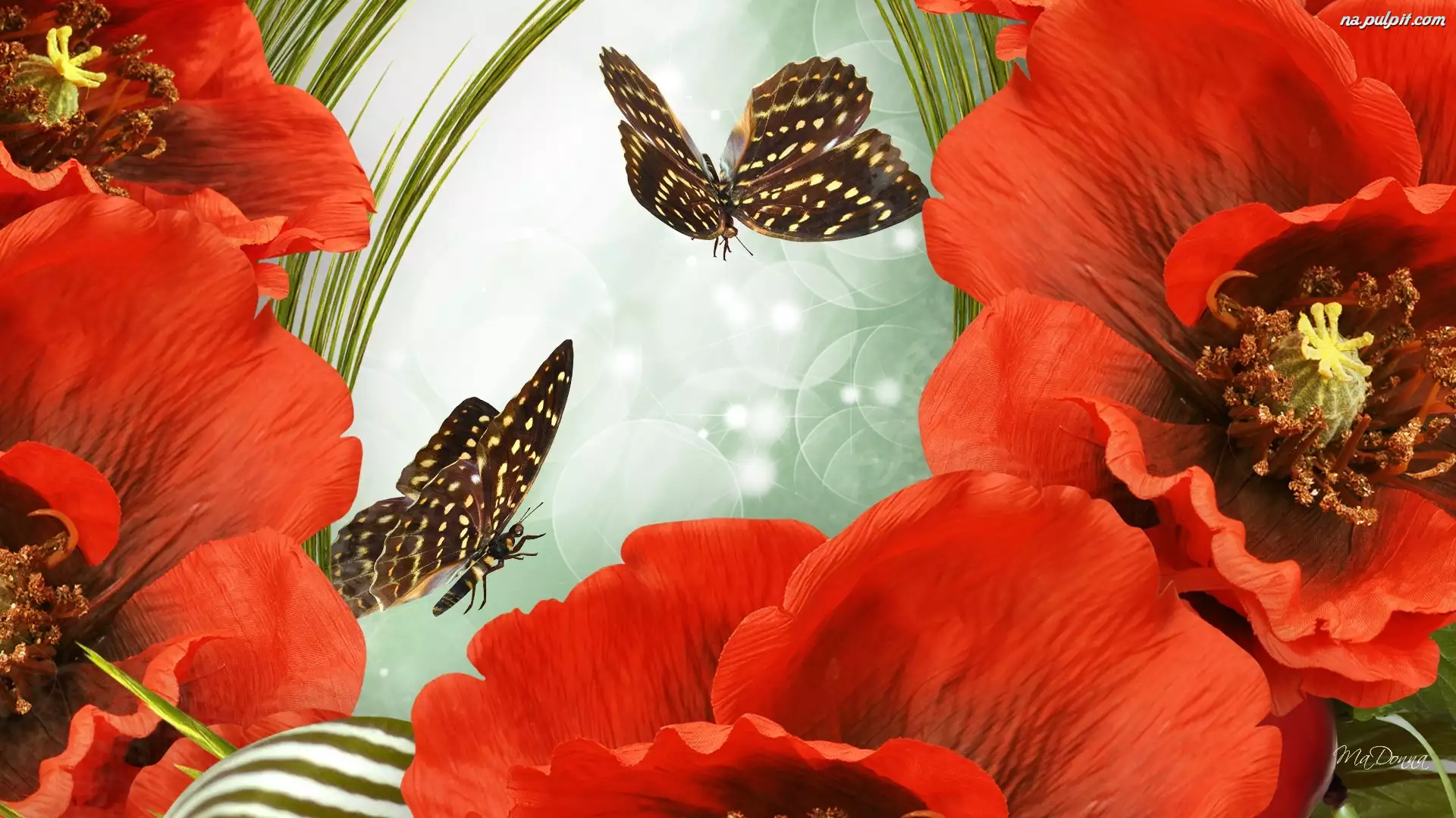 Открытка с цветами и бабочками