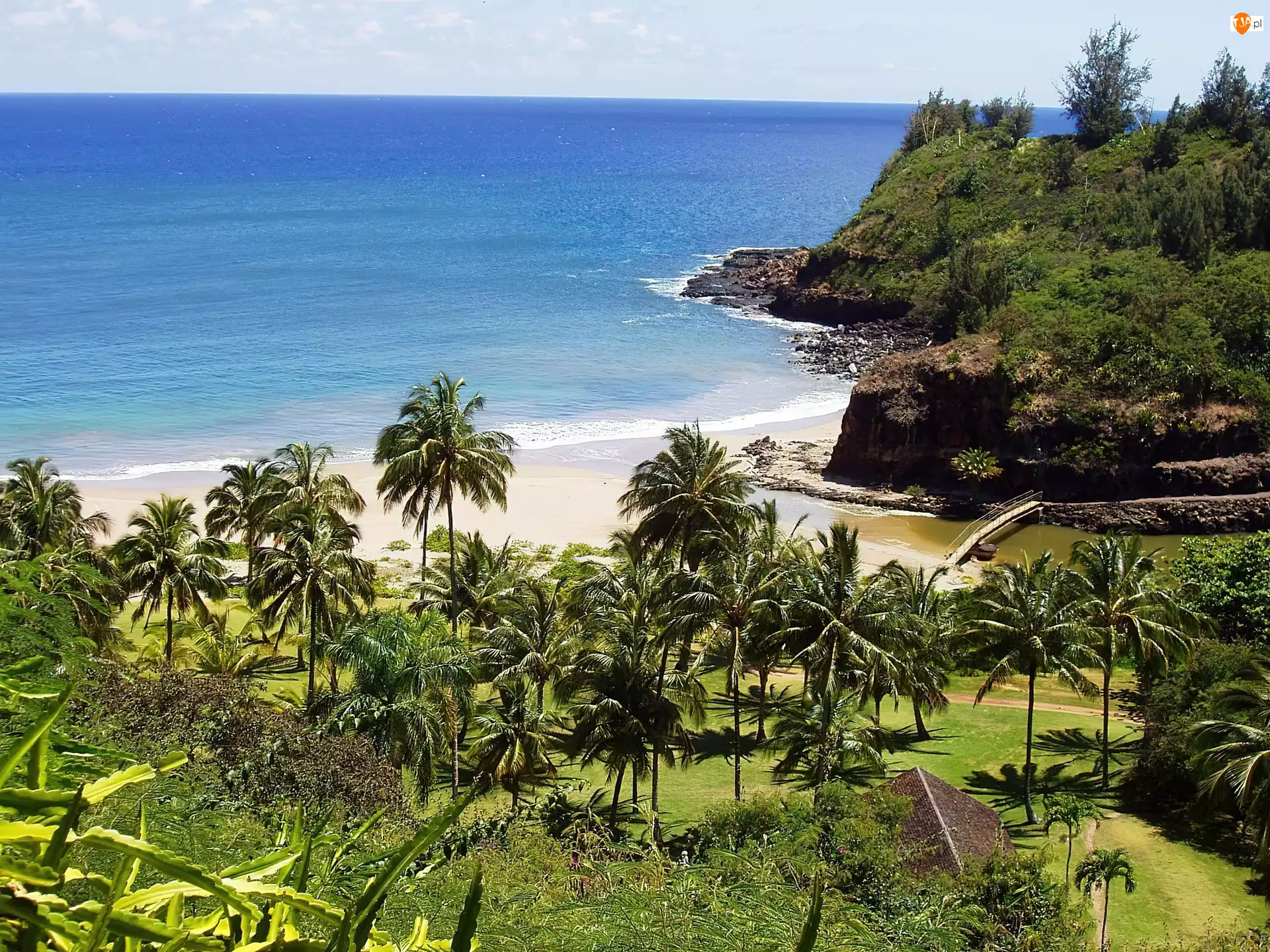 Palmy, Hawaje, Ogród, Morze, Kauai
