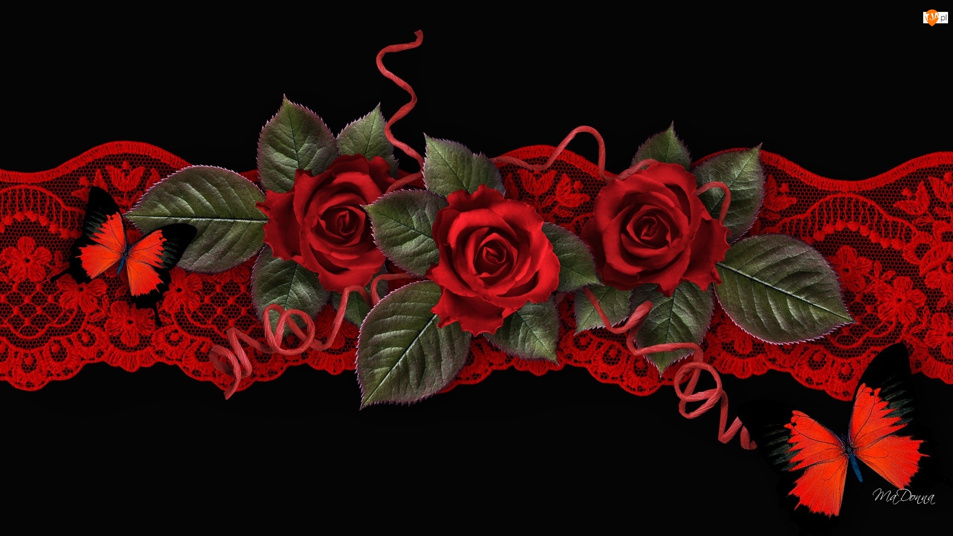 Art, Czerwone, Róże, Motyle