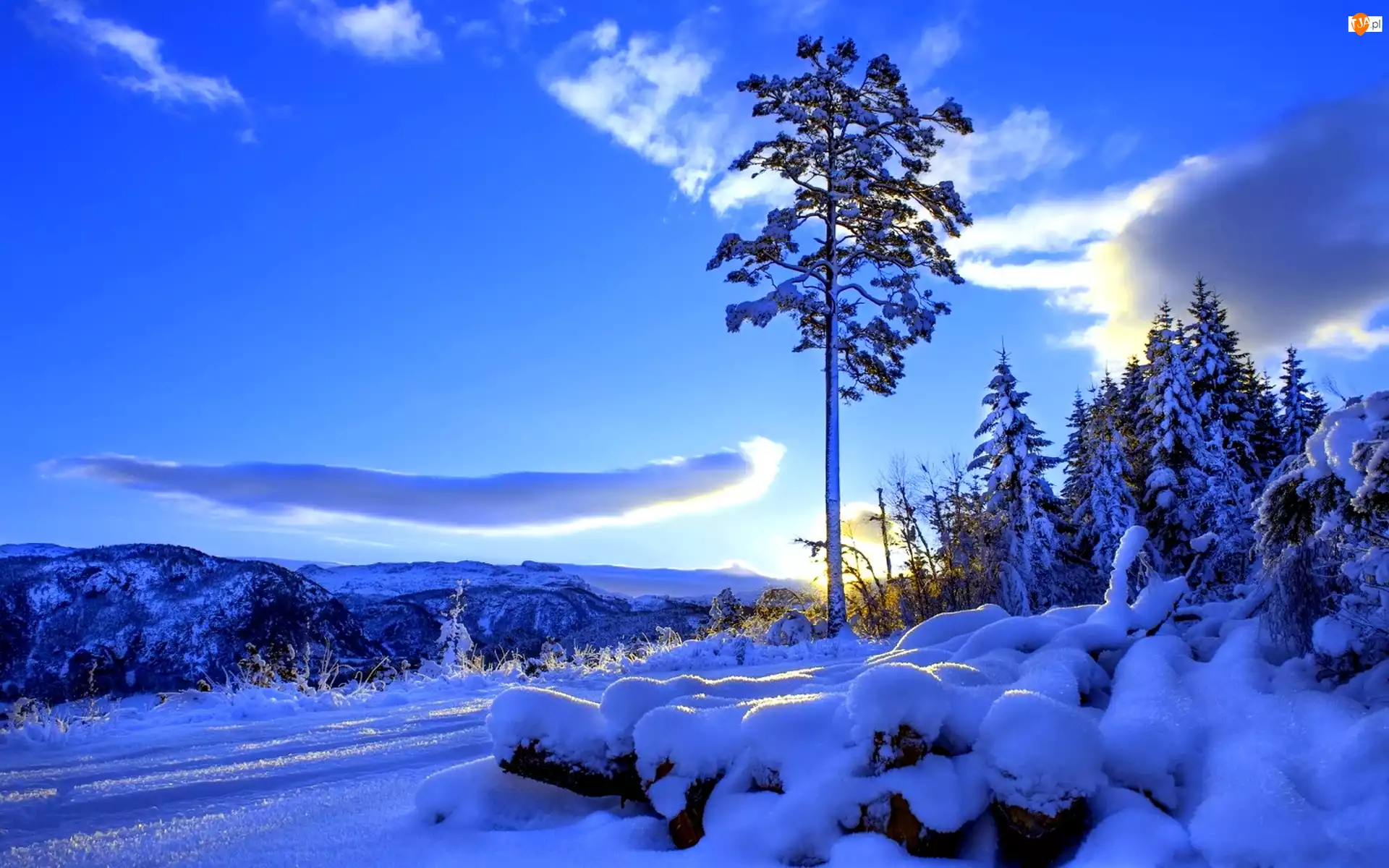Śnieg, Drzewo, Góry