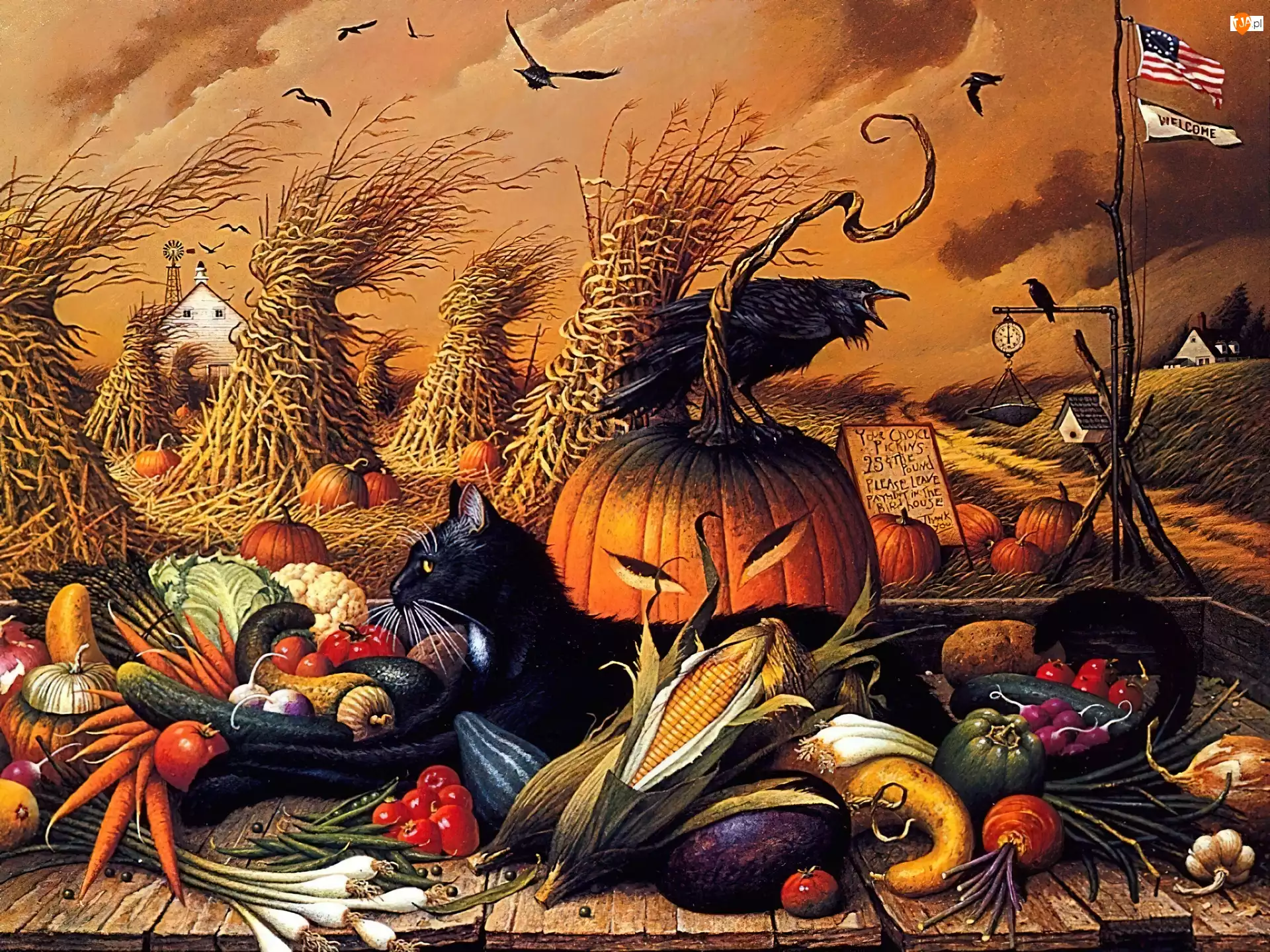 warzywa, Halloween, kotek, USA