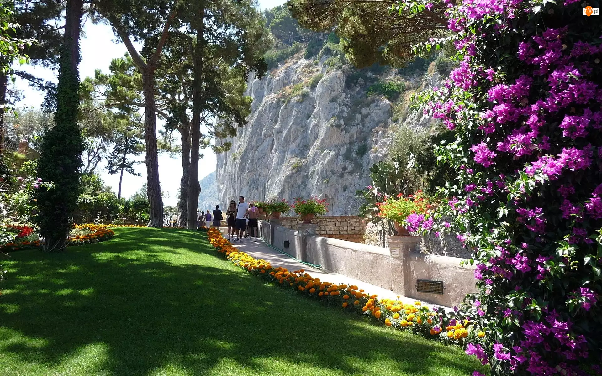 Kwiaty, Capri, Park, Włochy, Skała, Spacerowicze