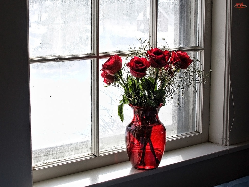 Okno, Czerwone, Róże