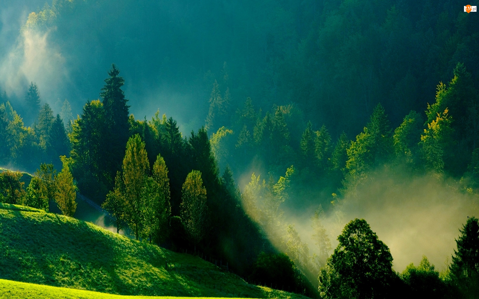 Poranna, Wzgórza, Mgła, Zielone