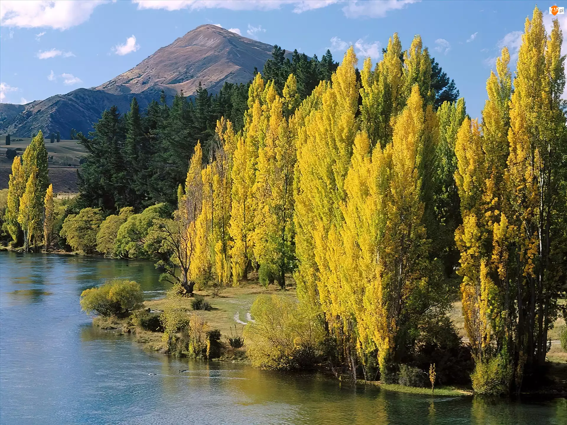 Nowa Zelandia, Jezioro, Góry, Drzewa, Wanaka