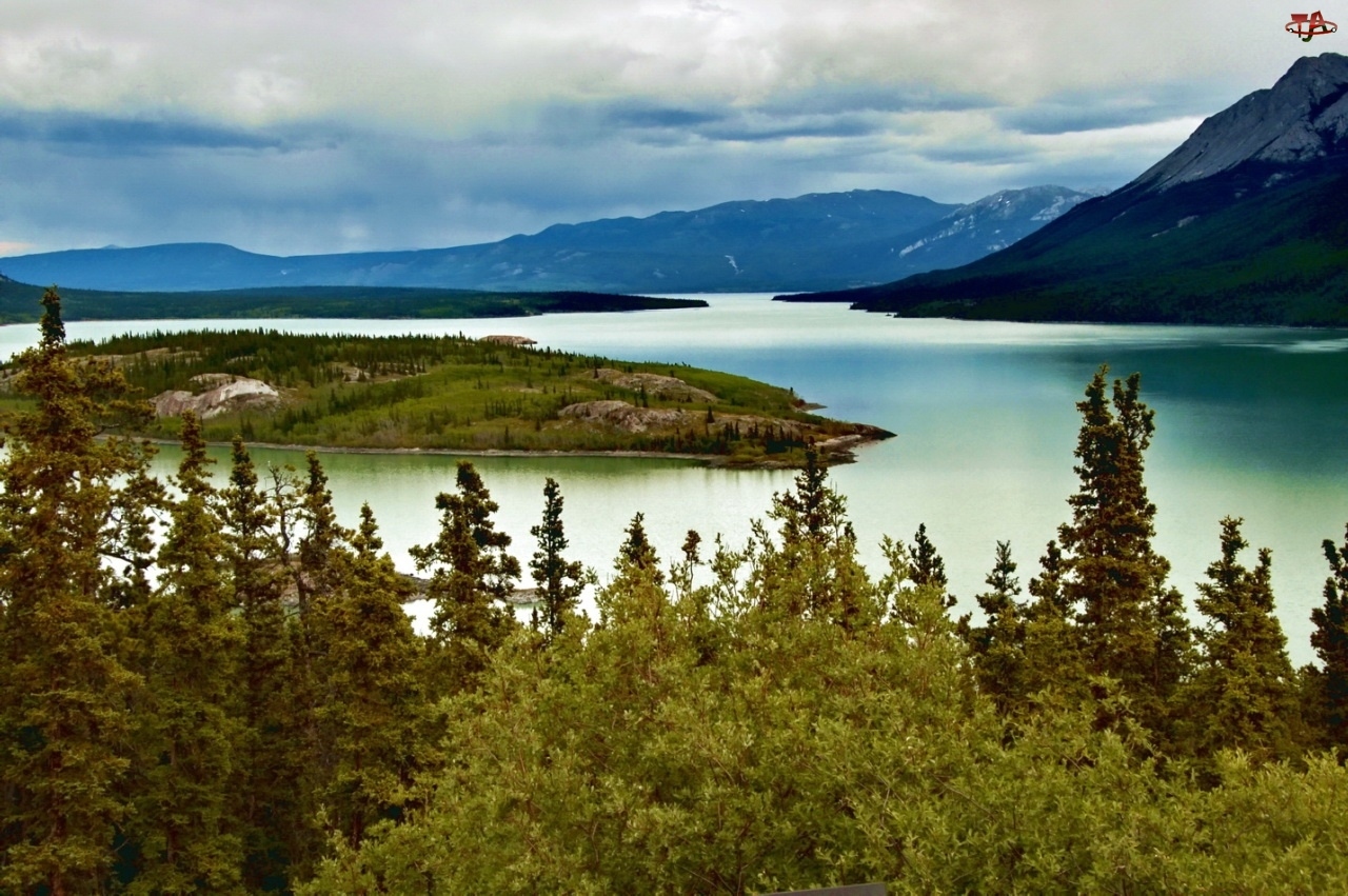 Góry, Kanada, Drzewa, Rzeka, Yukon