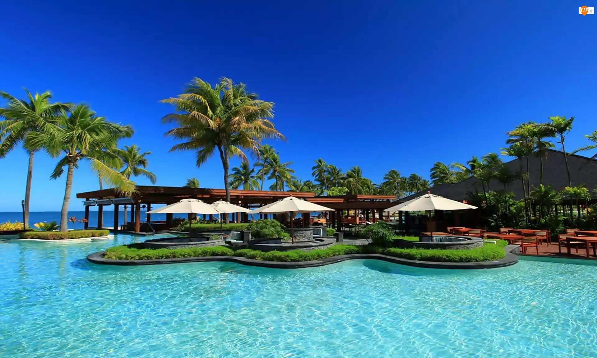 Wakacje, Morze, Hotel The Westin Denarau Island Resort & Spa, Fidżi, Palmy