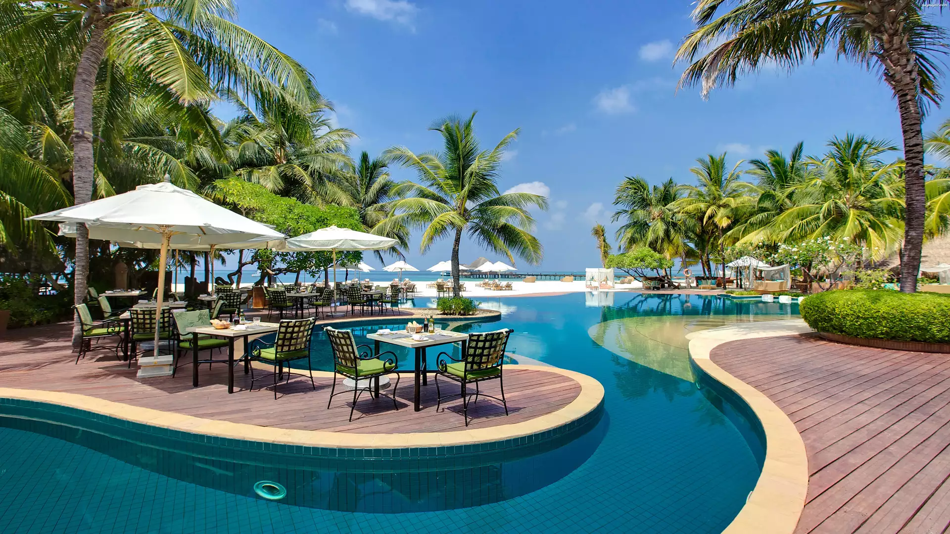 Hotel, Malediwy, Basen, Kurort