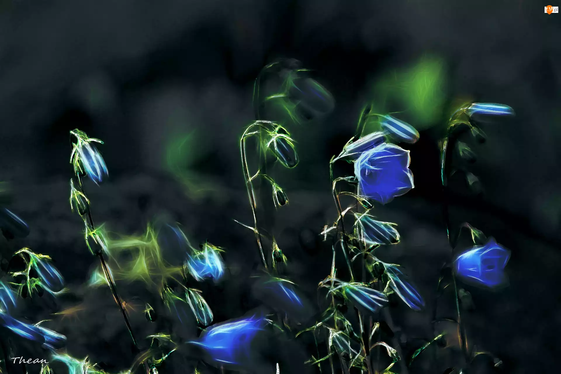 Fractalius, Niebieskie, Kwiatki